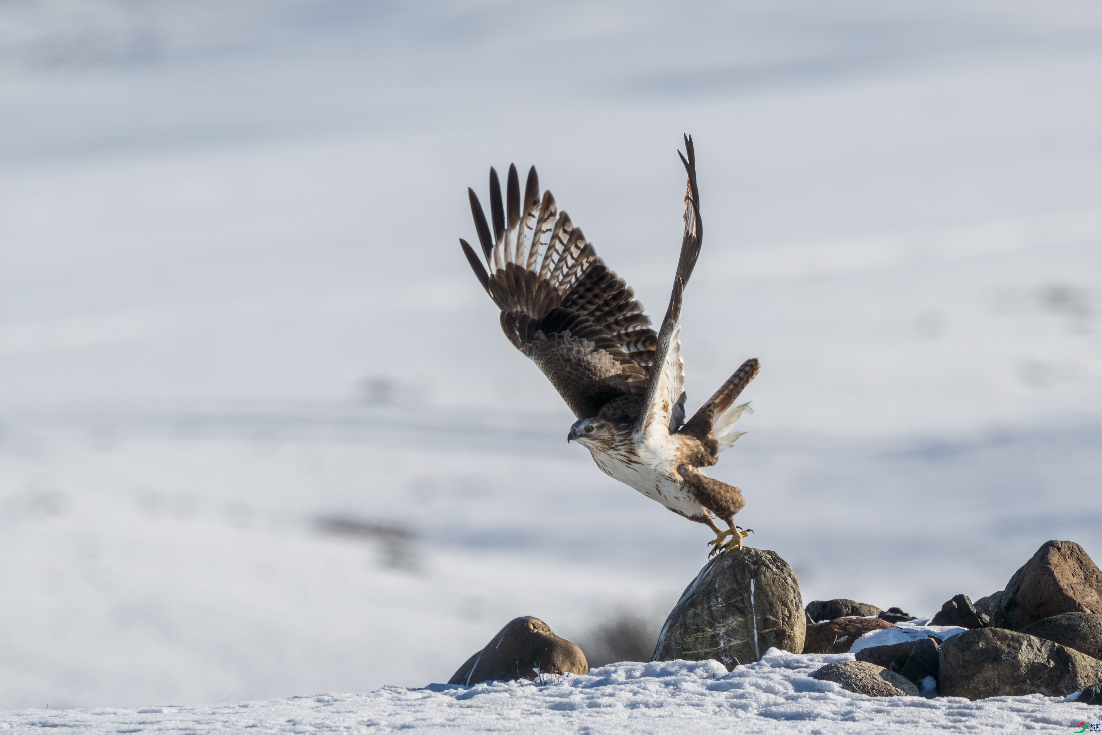 DSC_7832.jpg
