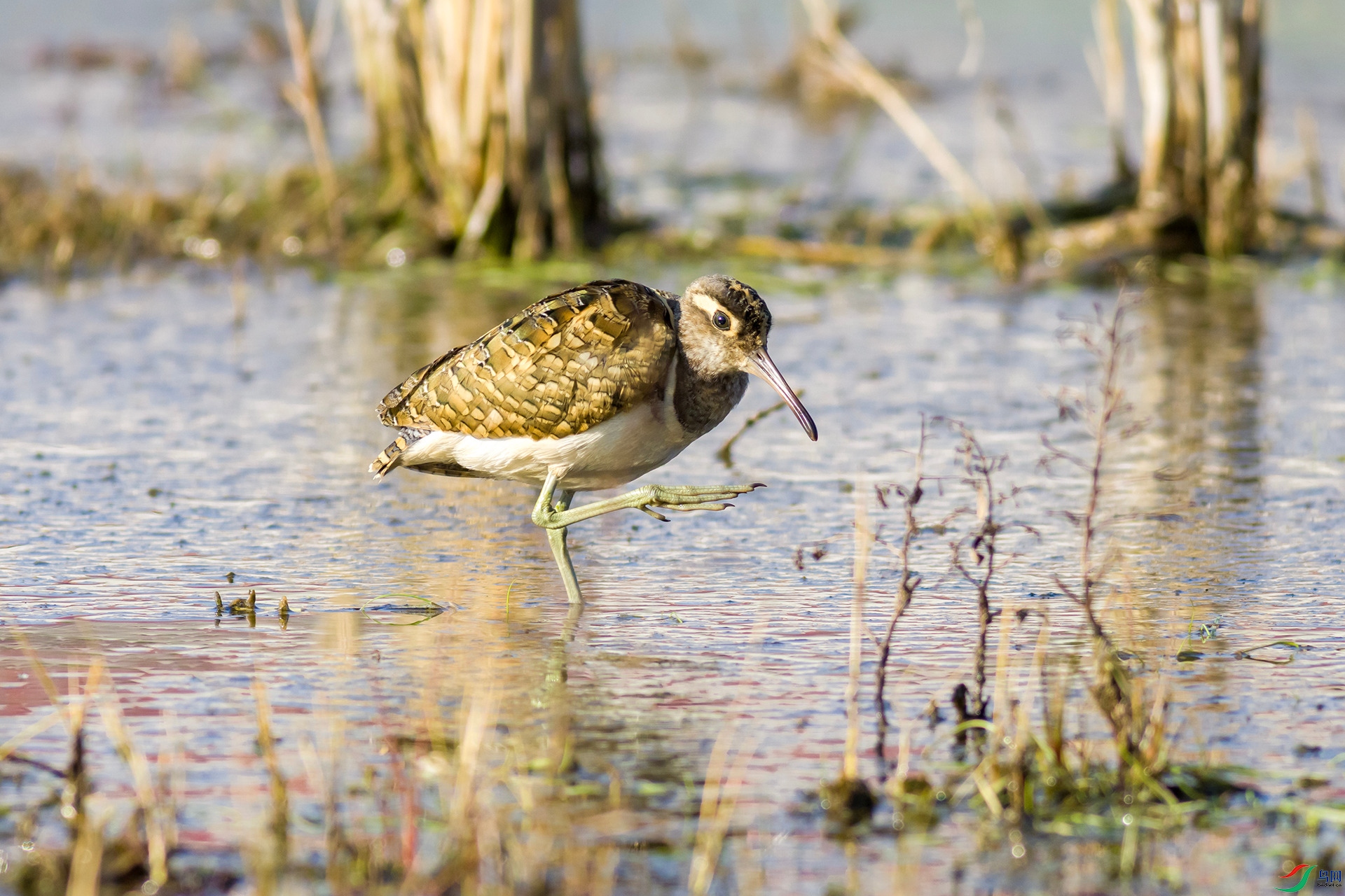 2H6A9883 ����_����.jpg