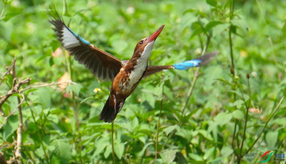 DSCF5554.1.jpg