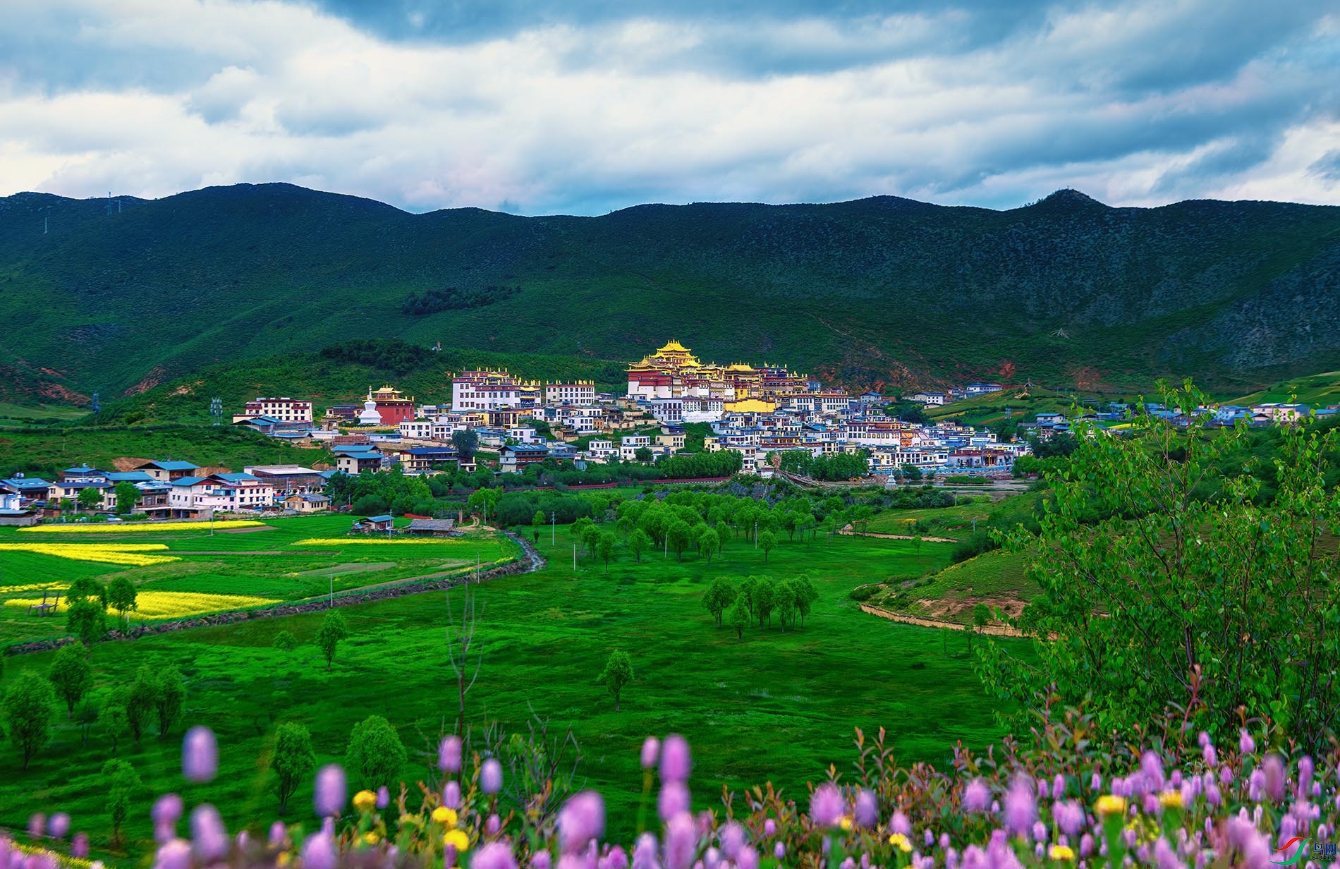 ���޲ؾ�����Ұ����ӵ��