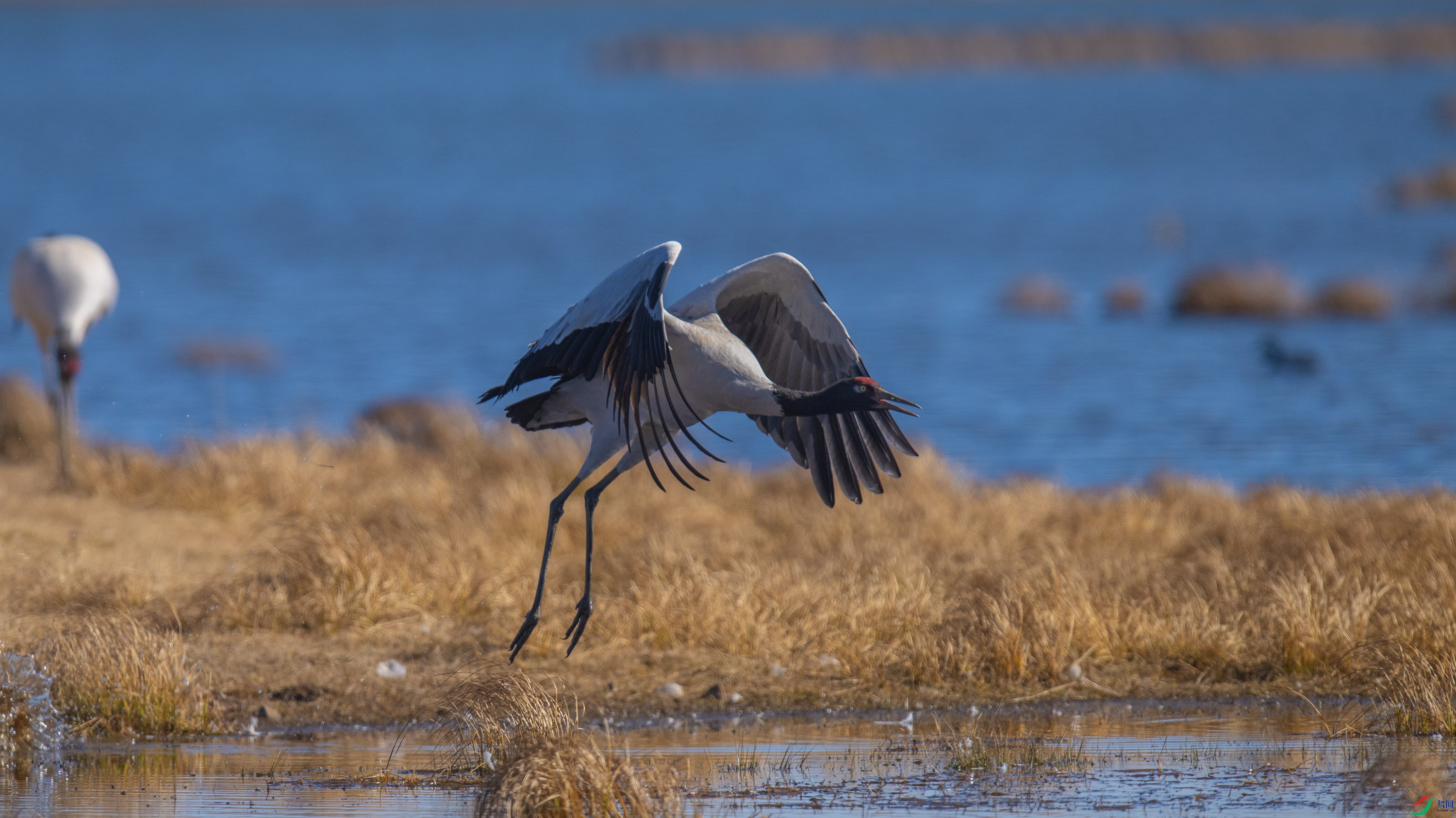 �ھ��� (3).jpg