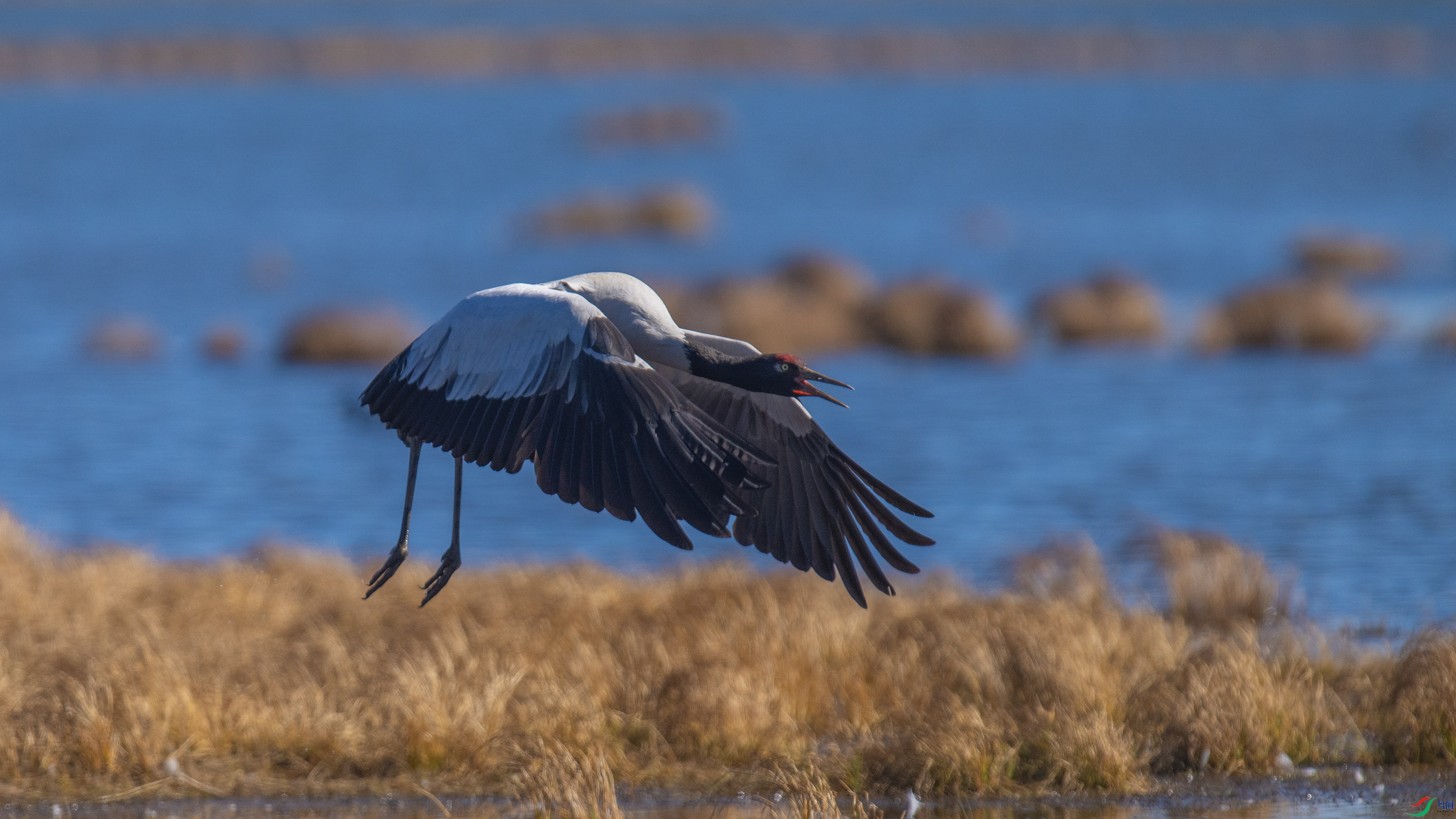 �ھ��� (8).jpg