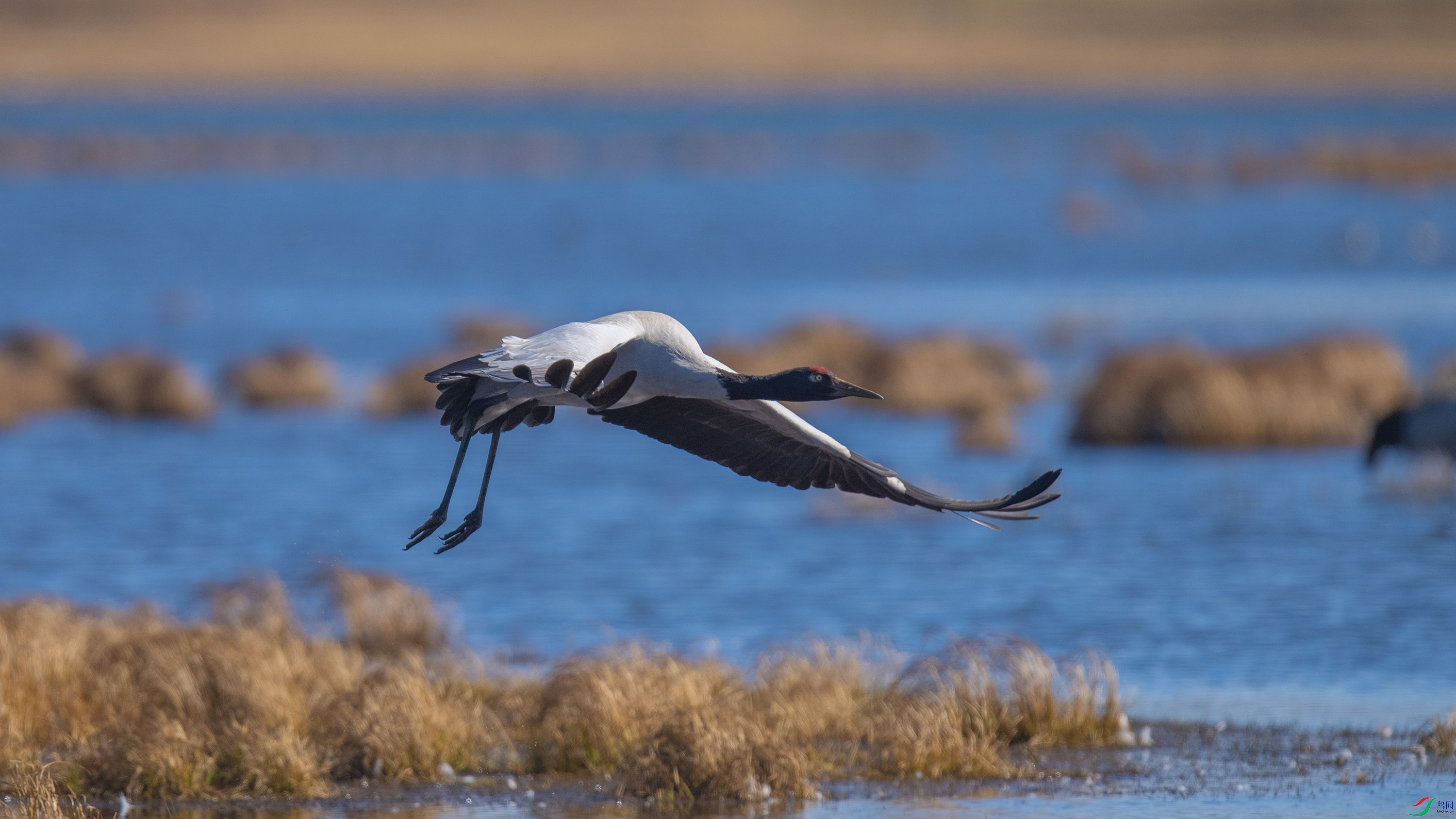 �ھ��� (11).jpg