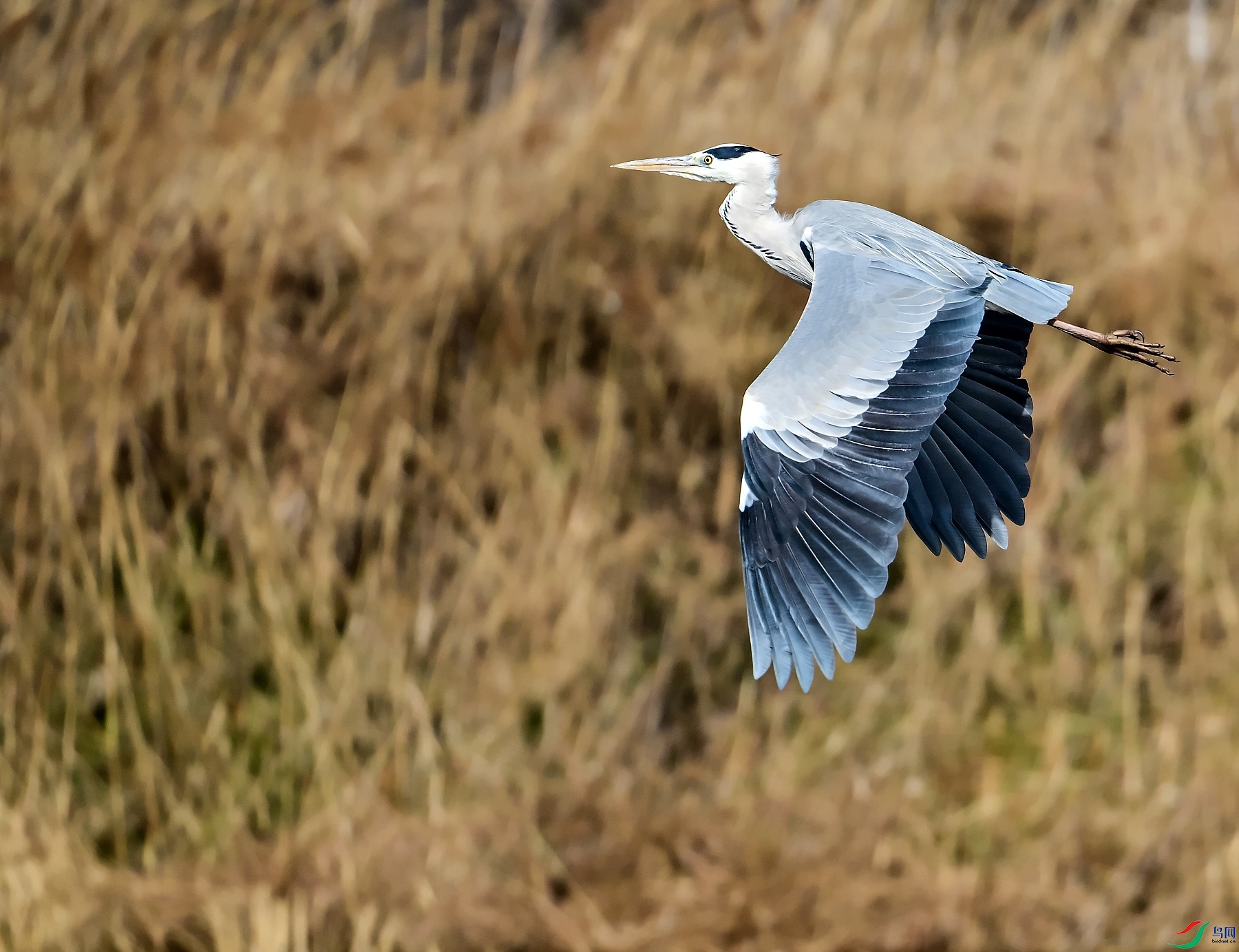 DSC_0383��ǰ��.jpg