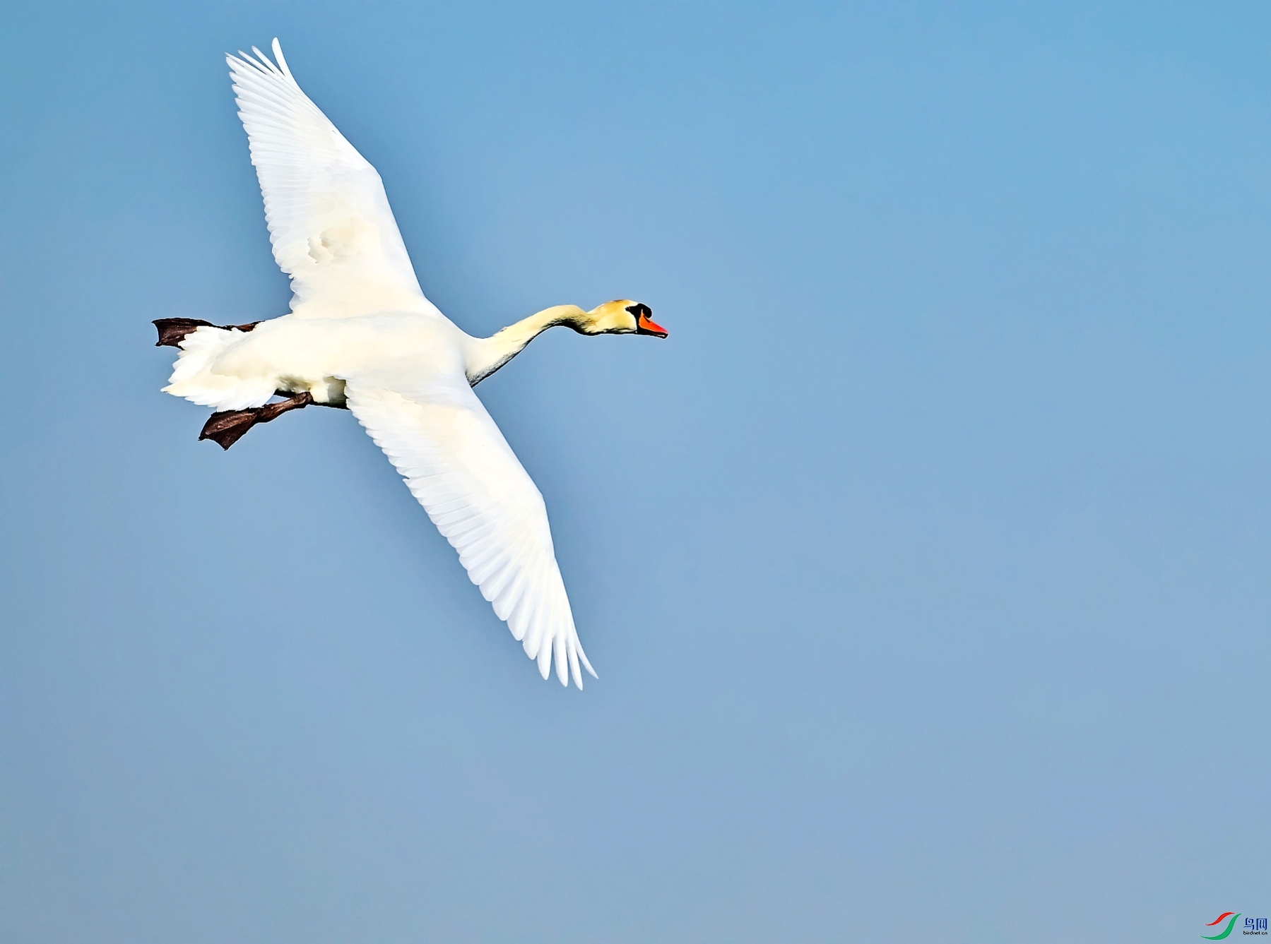 DSC_8991---_conew1.jpg