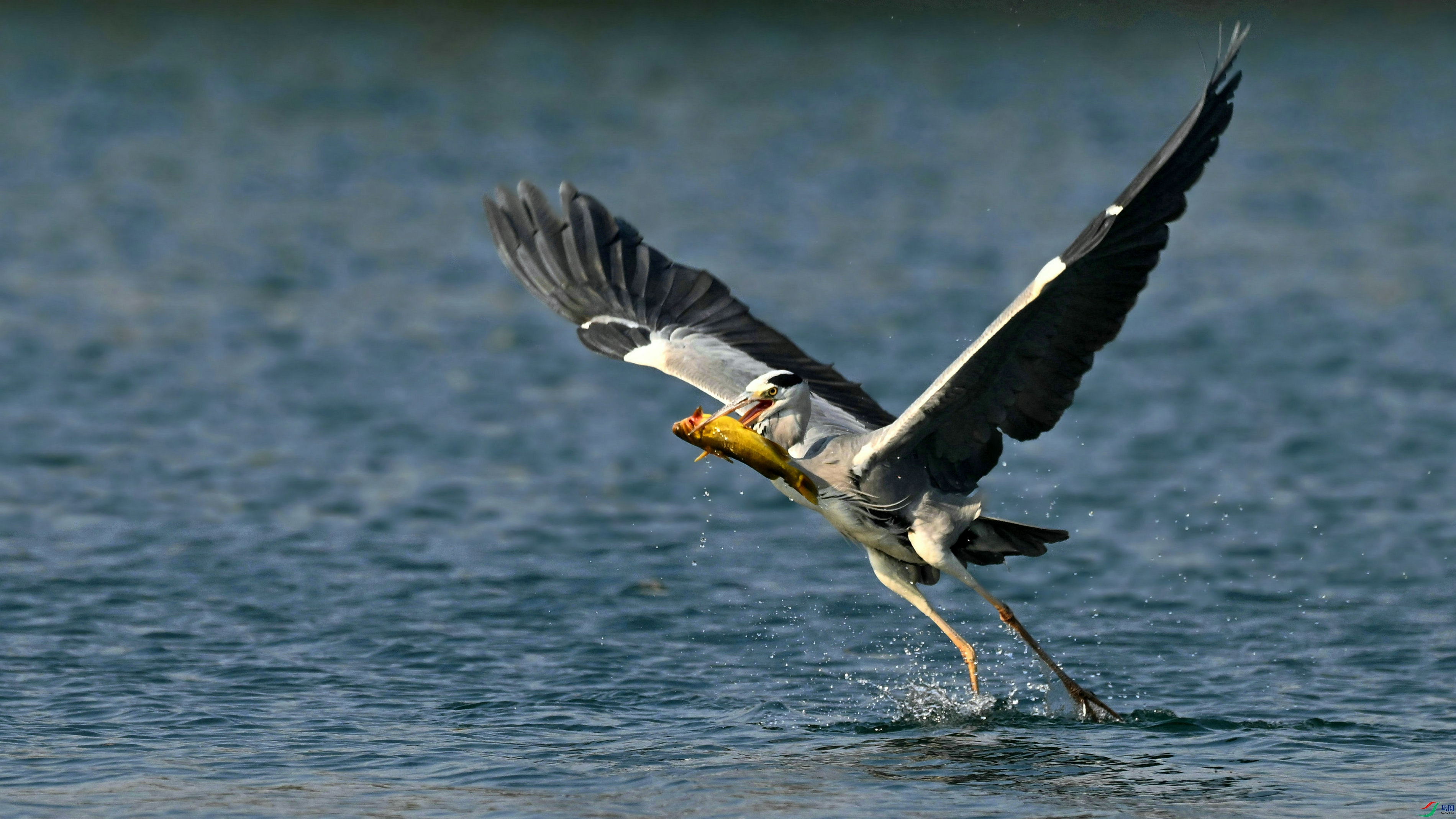 DSC_5287.JPG
