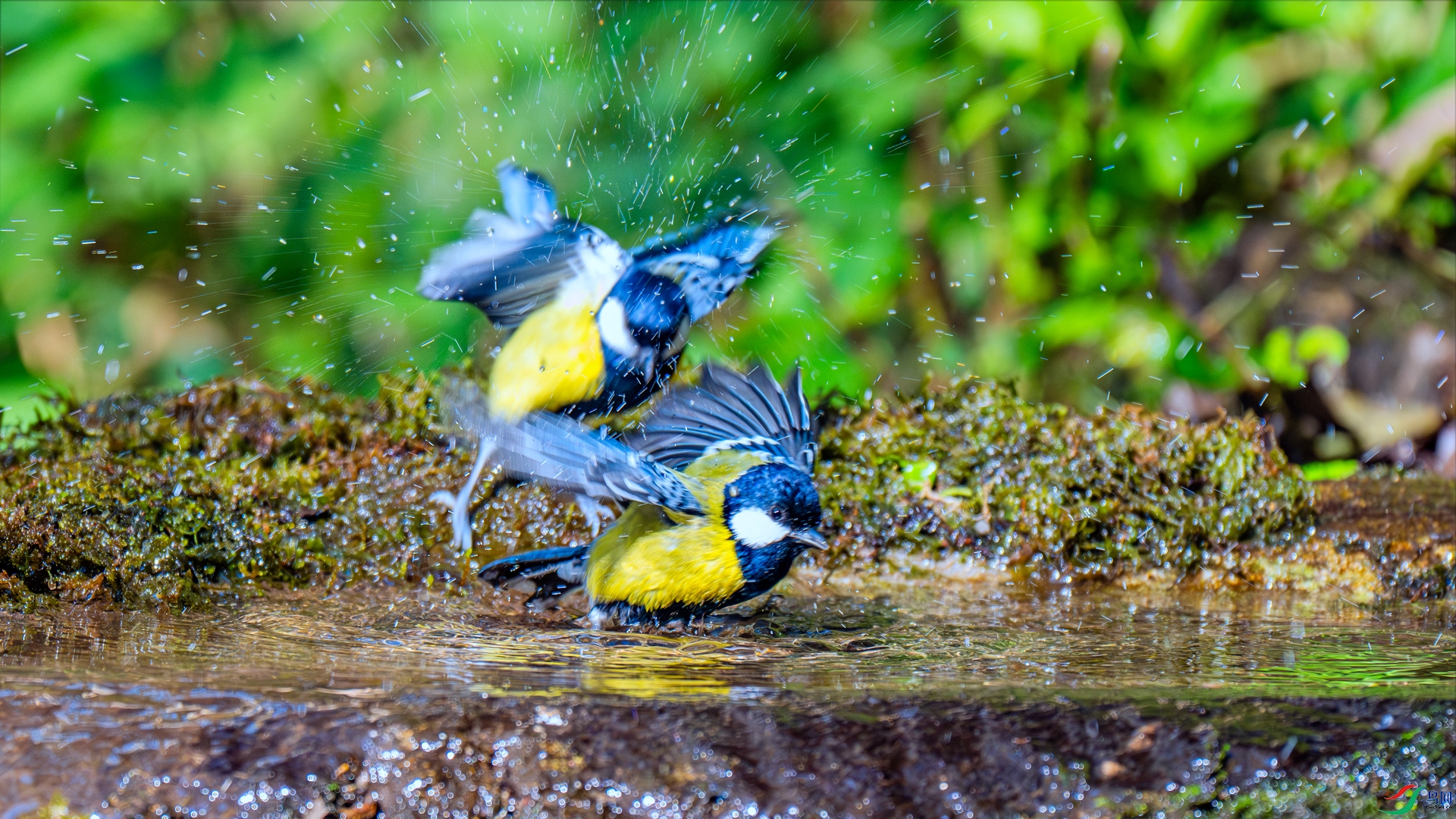 DSC_7719 ����_����.jpg