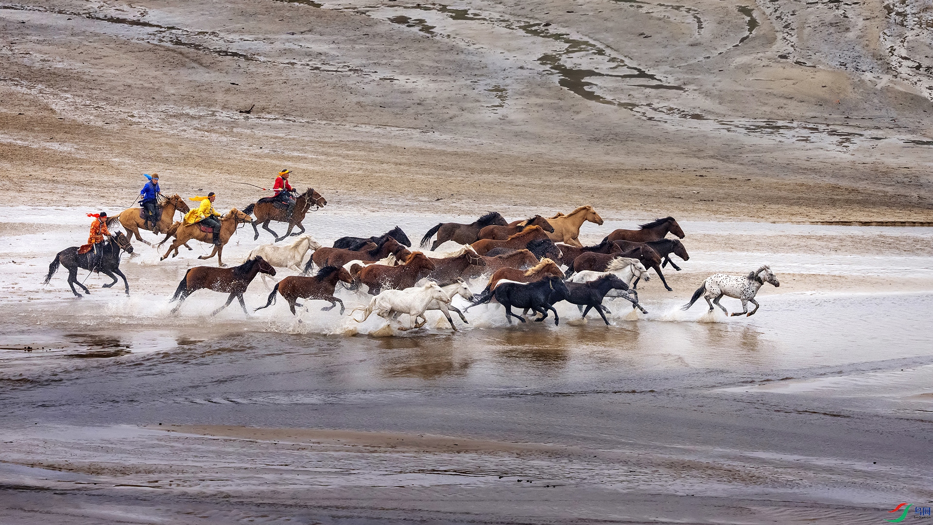 DSC05132 ����.jpg