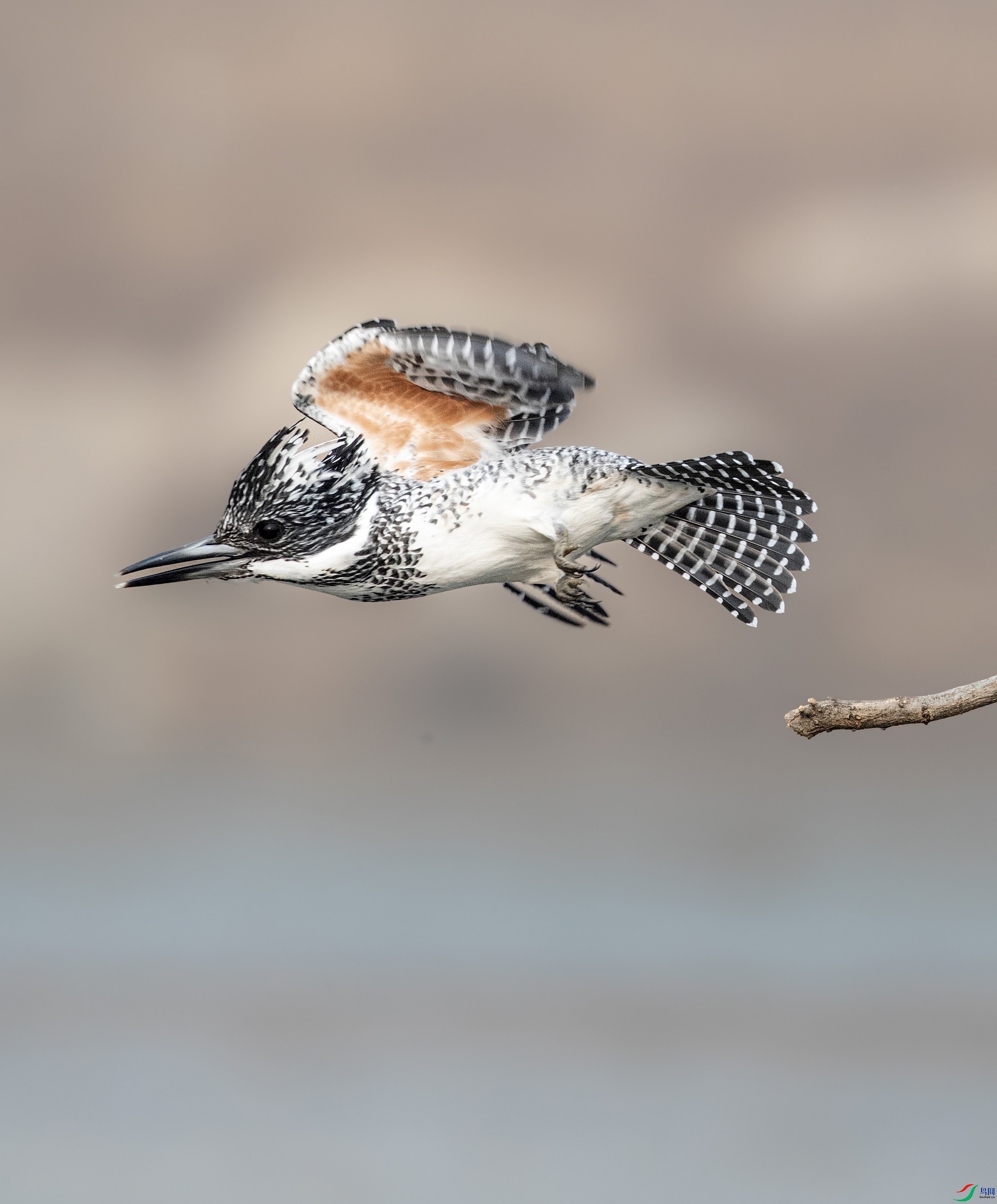 A79I5271 ����.jpg