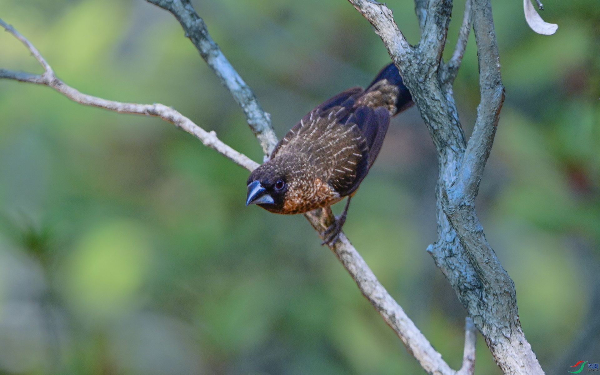 DSC_2544 ����.jpg