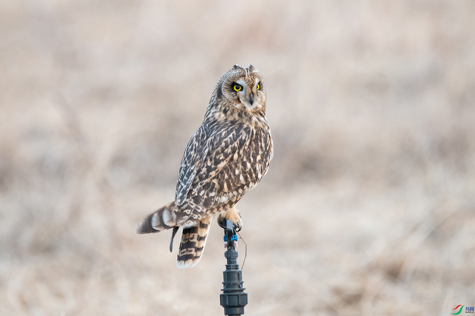 DSC_0814-20210302�ü� .jpg