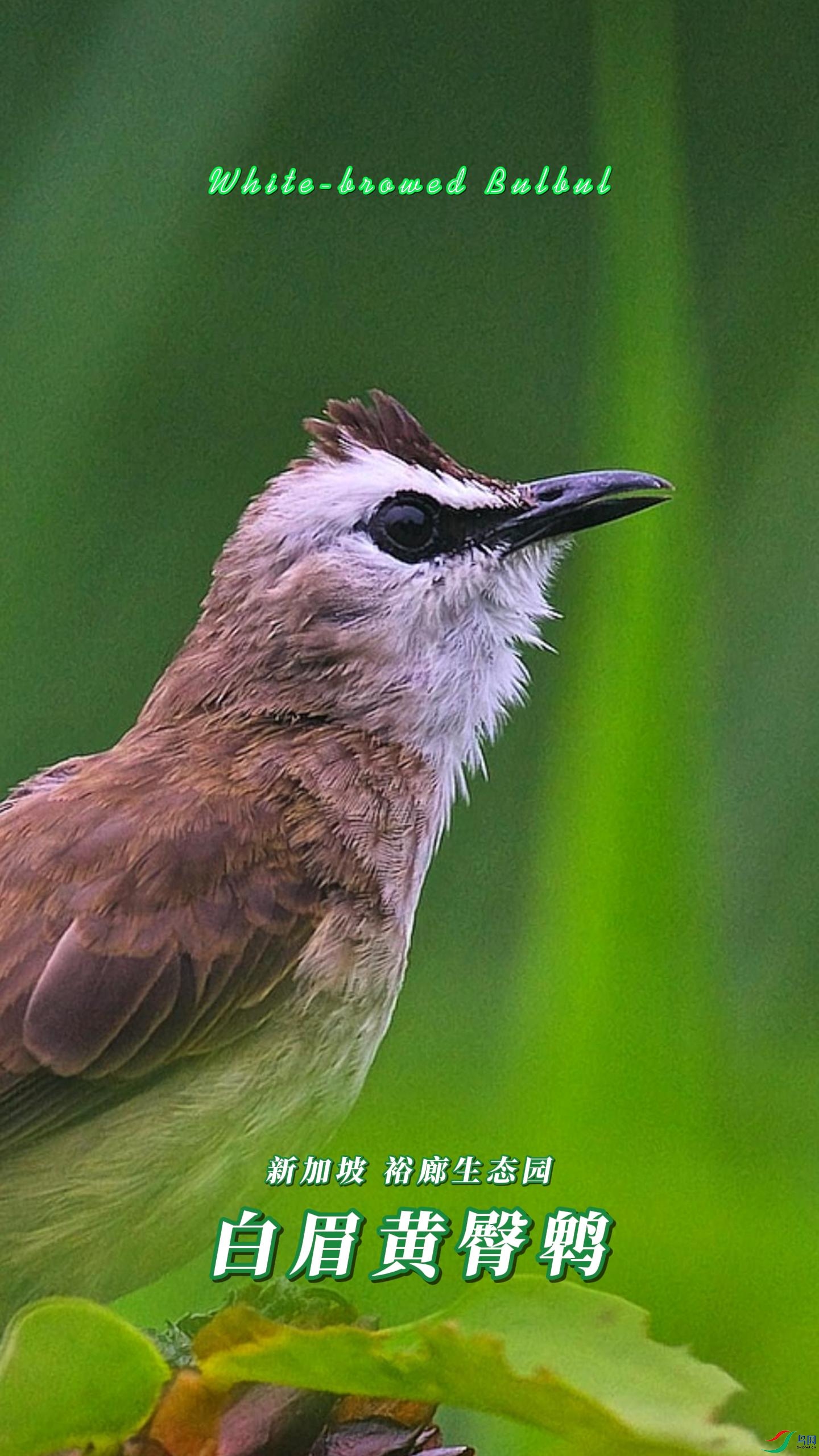 �¼��� ԣ����̬԰ ��ü������-����.jpg