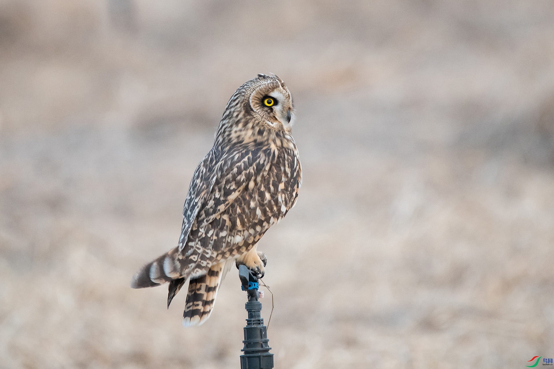 DSC_0817-20210302�ü� .jpg