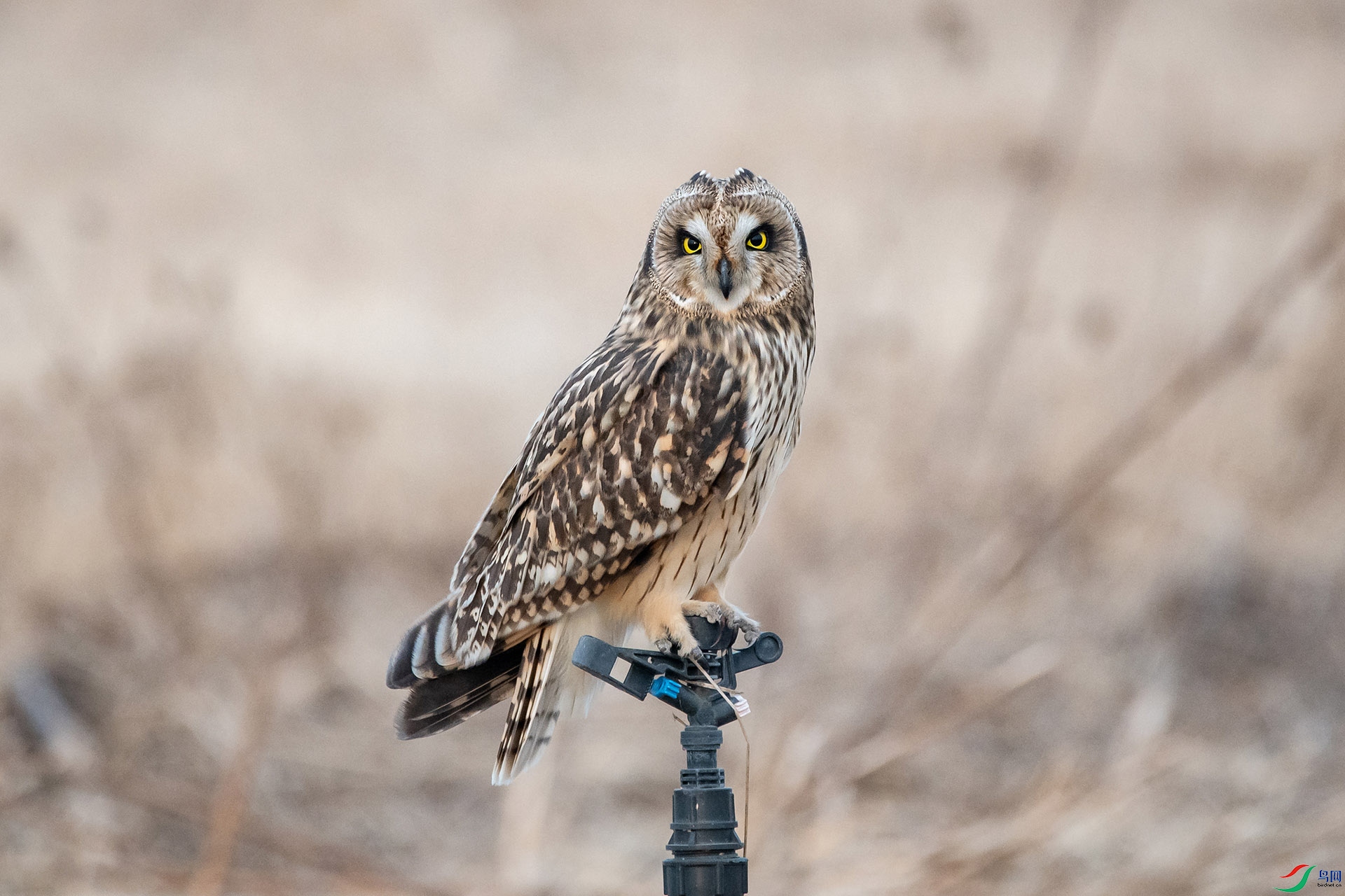 DSC_0824-20210302�ü� .jpg