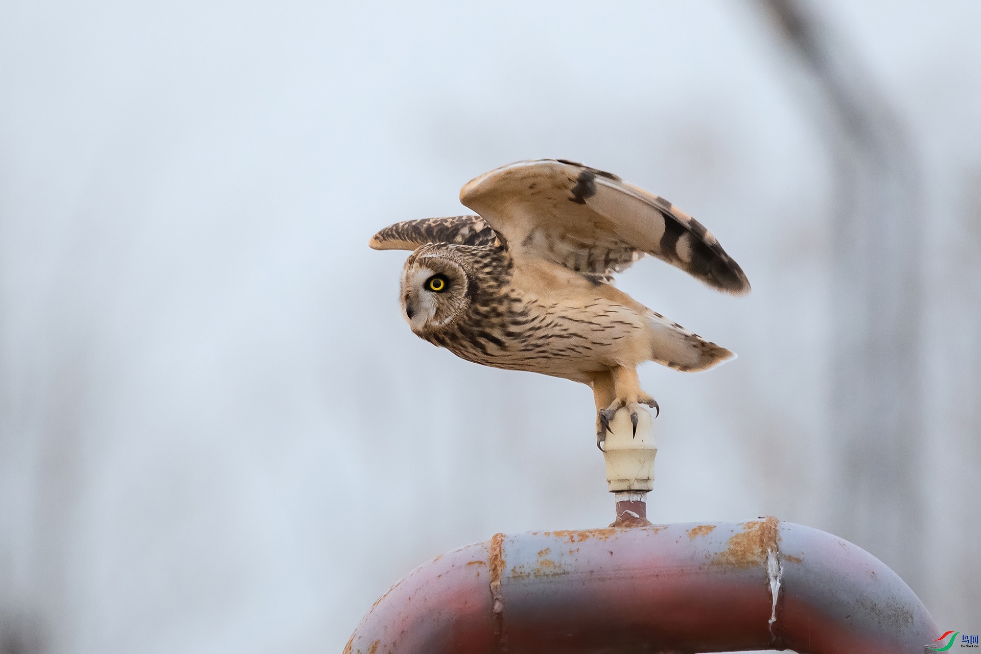 DSC_0842-20210302�ü� .jpg