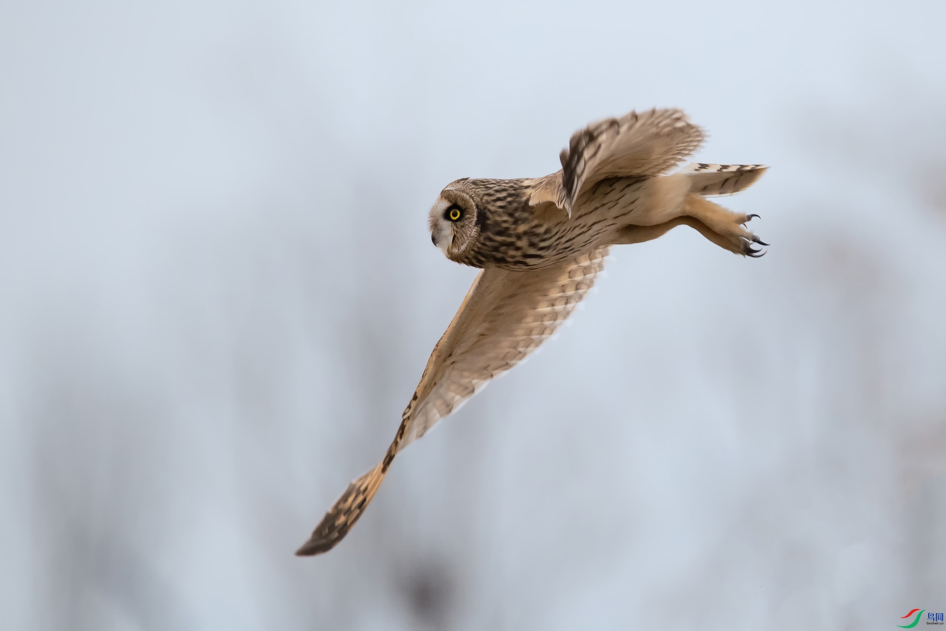 DSC_0843-20210302�ü� .jpg