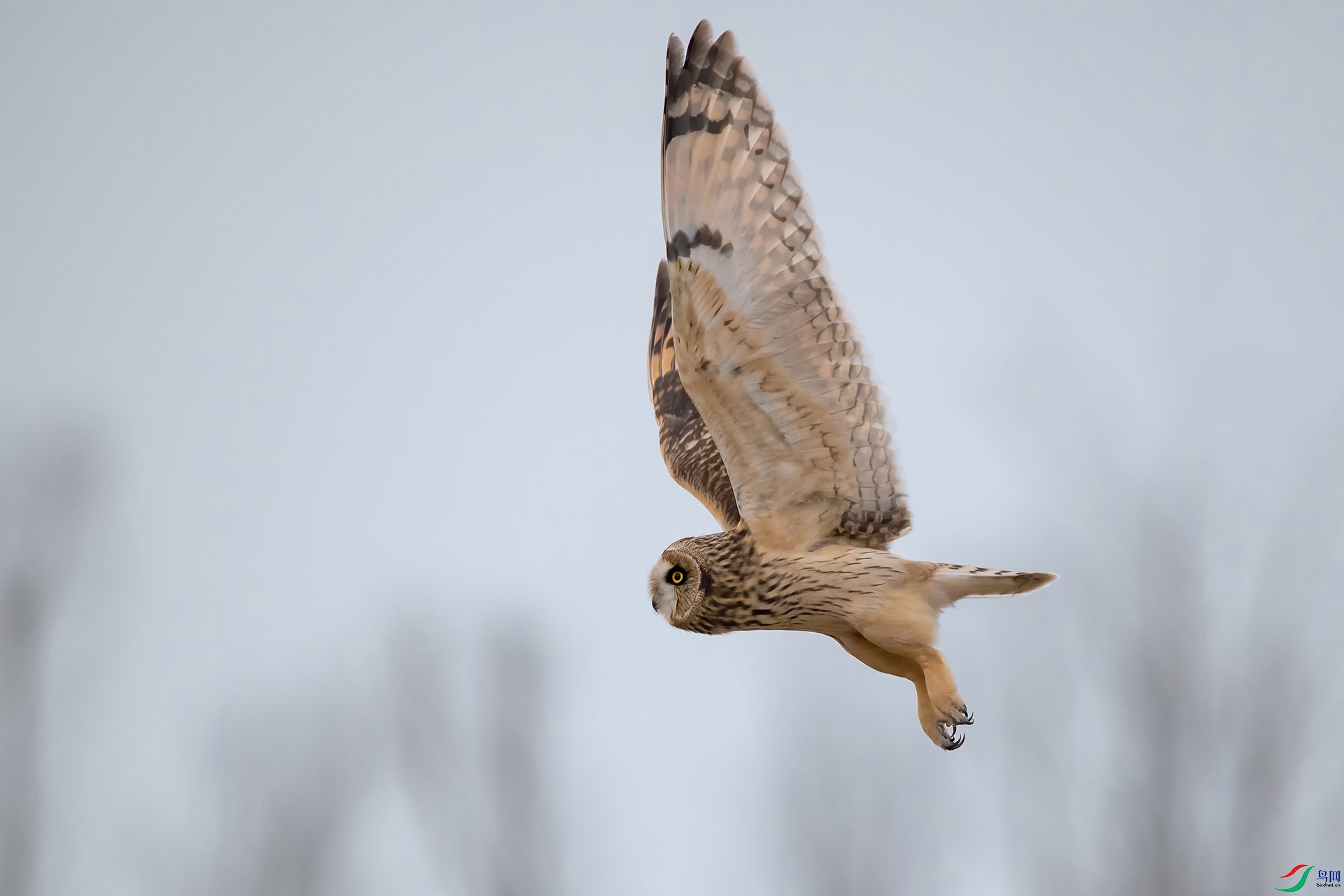 DSC_0844-20210302AI�ü� .jpg