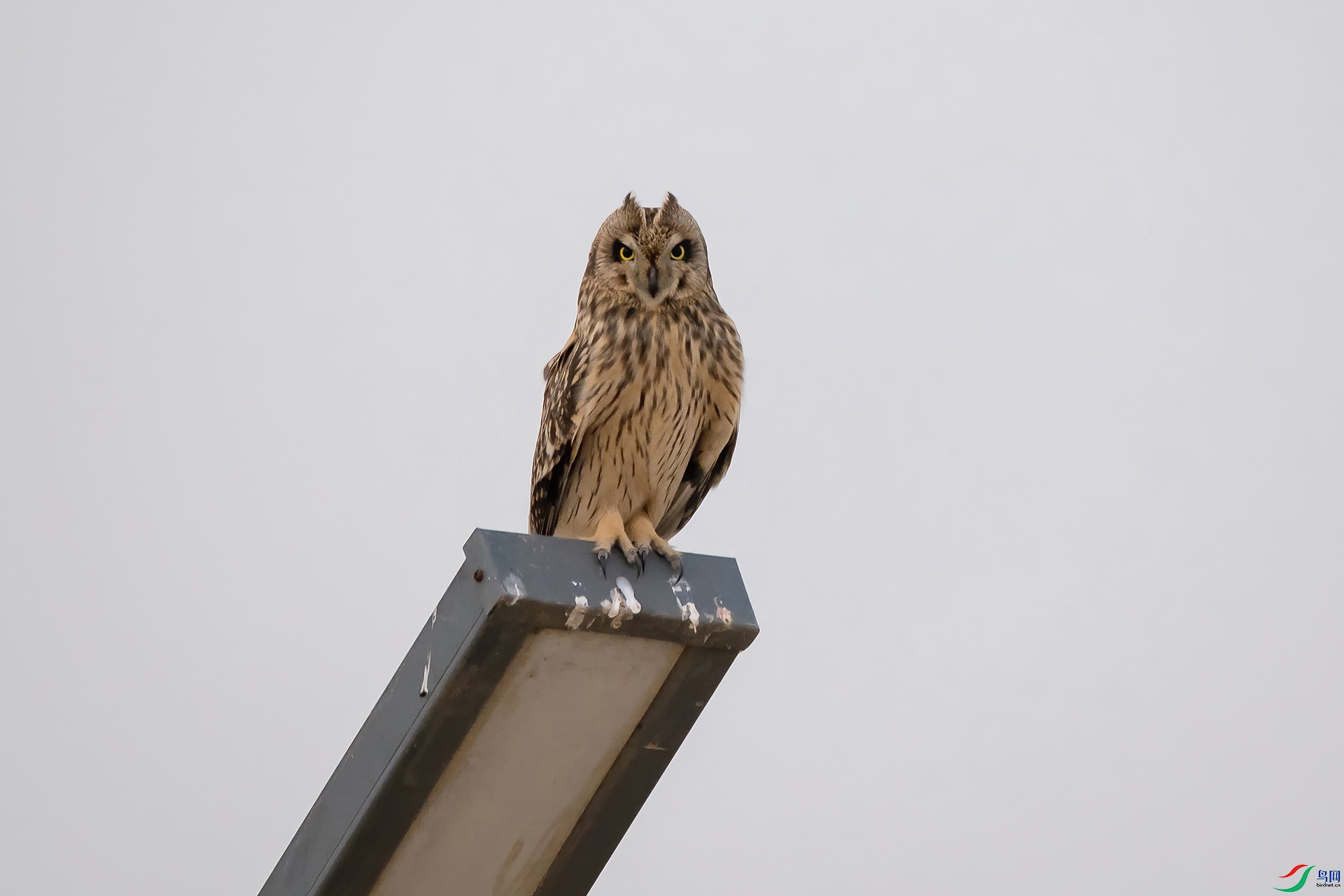 DSC_0855-20201220AI�ü� .jpg