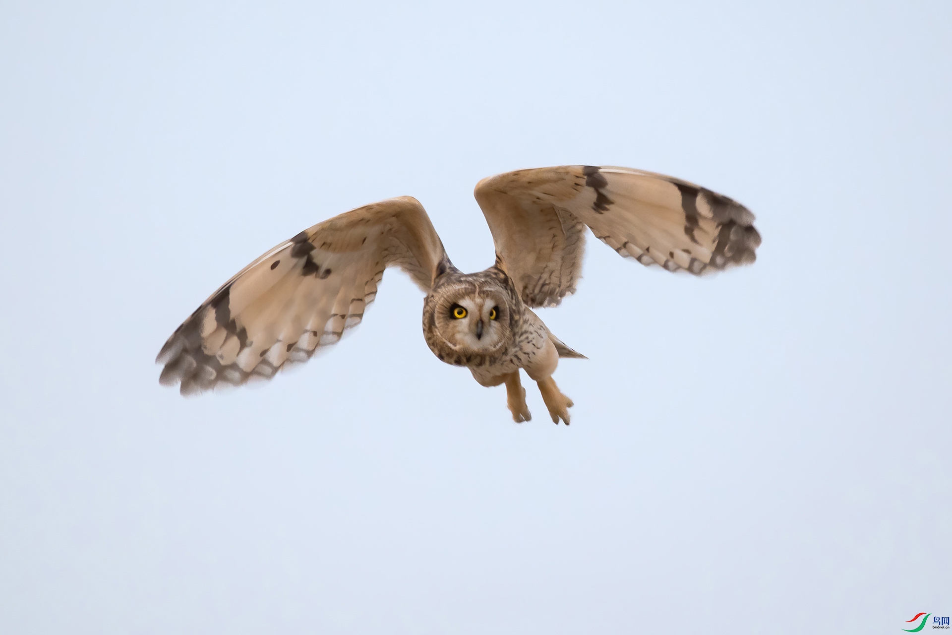 DSC_0866-20210302AI�ü� .jpg