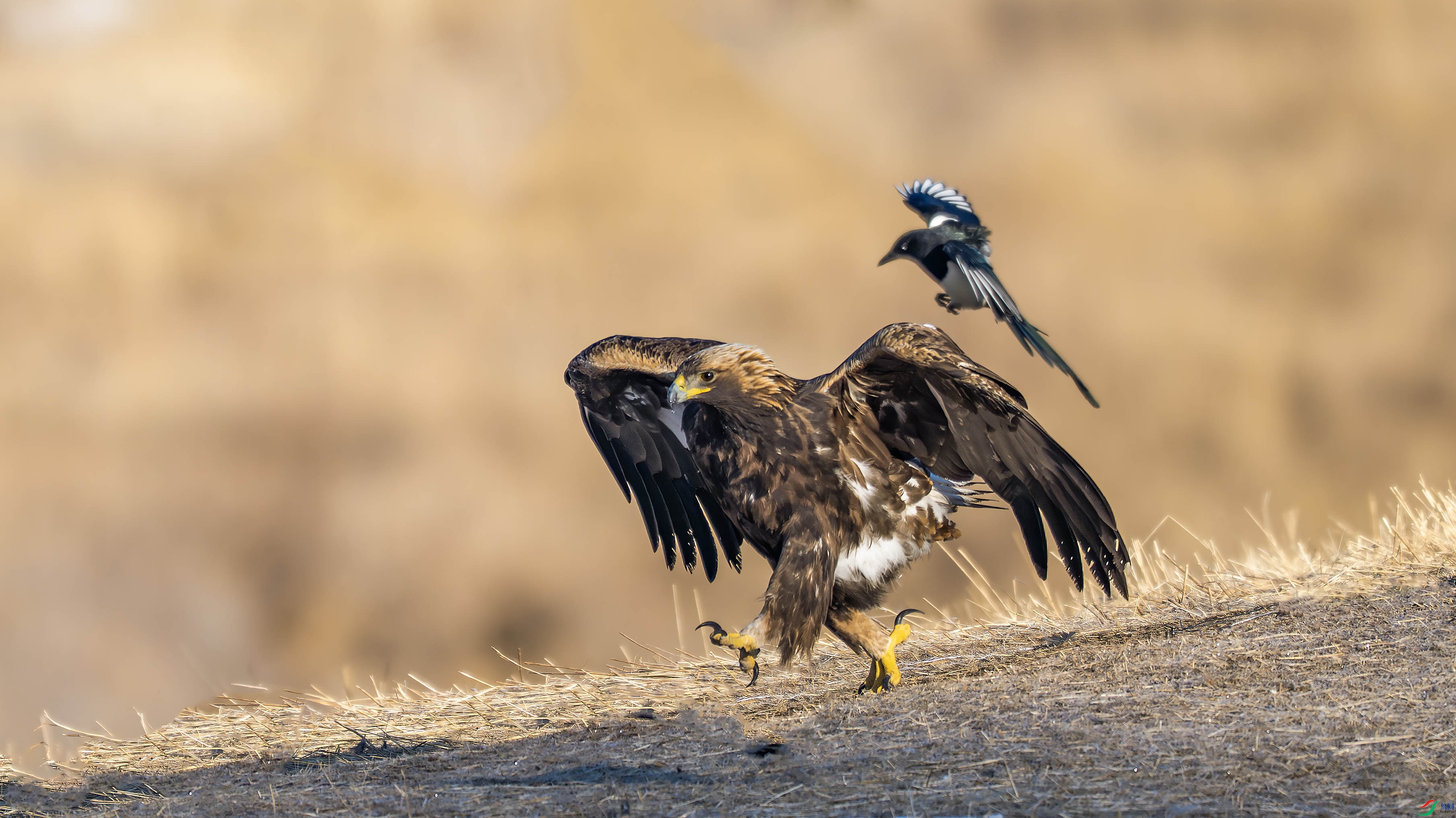 _DSC4212 ���� 2xiao.jpg