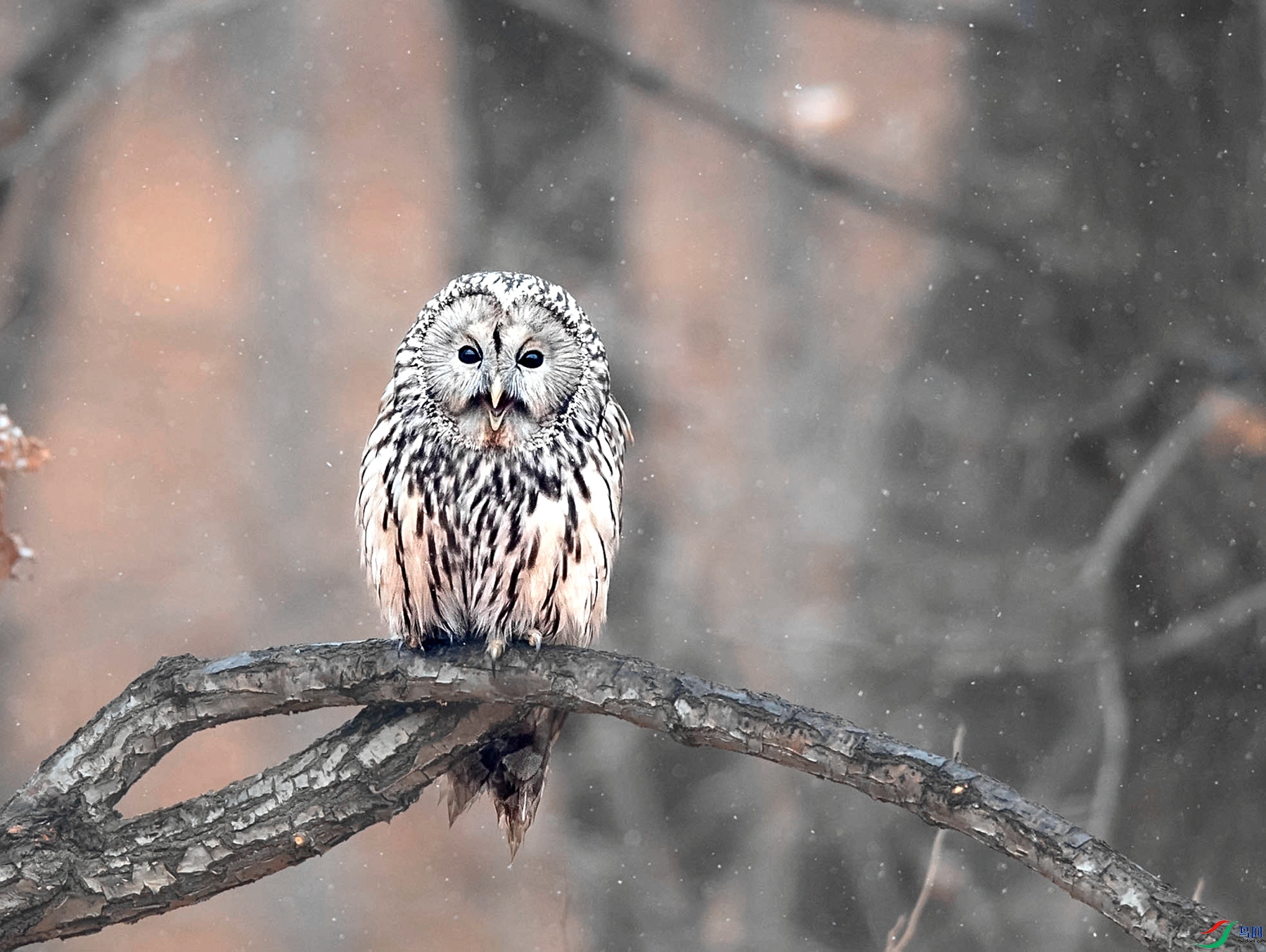 DSC_5157_����.jpg
