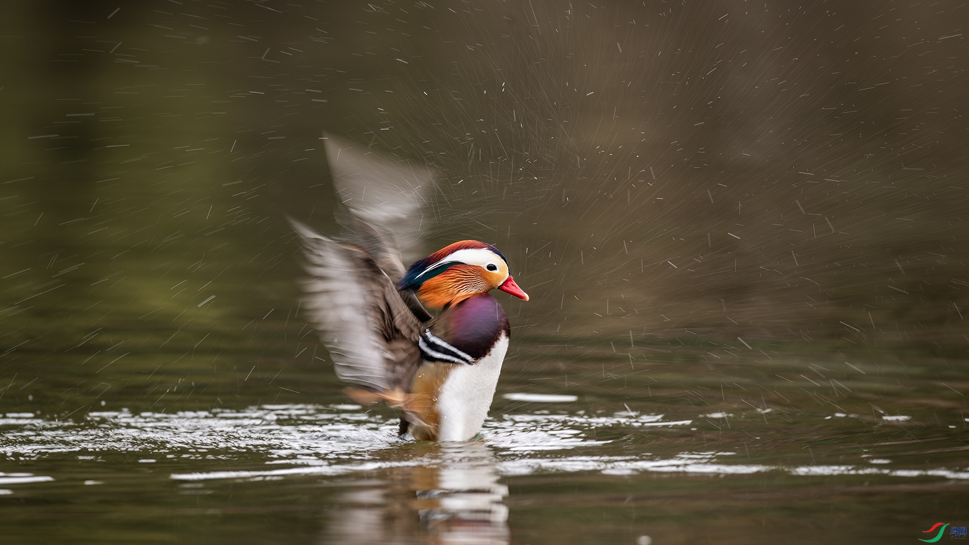 _DSC8701 ����.jpg