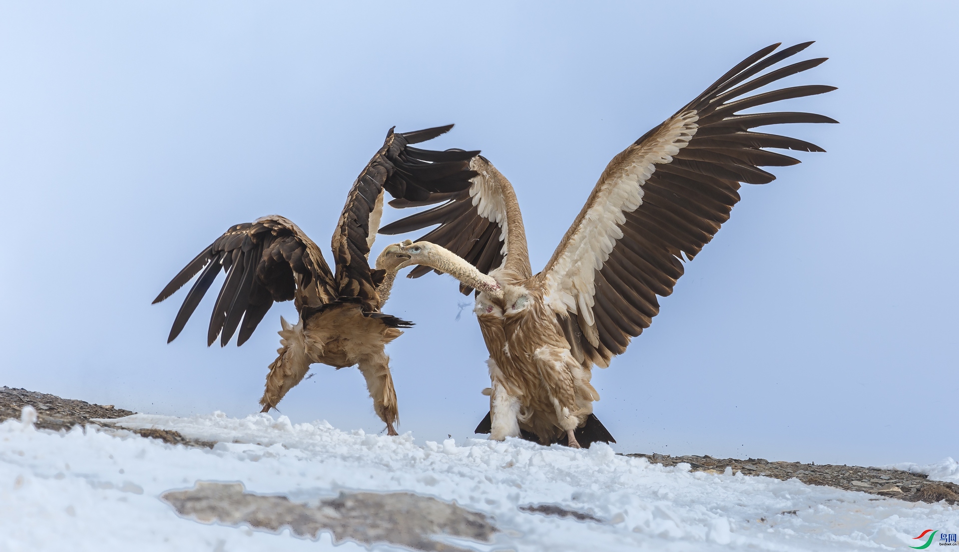 ��ɽأ��070A0953.jpg