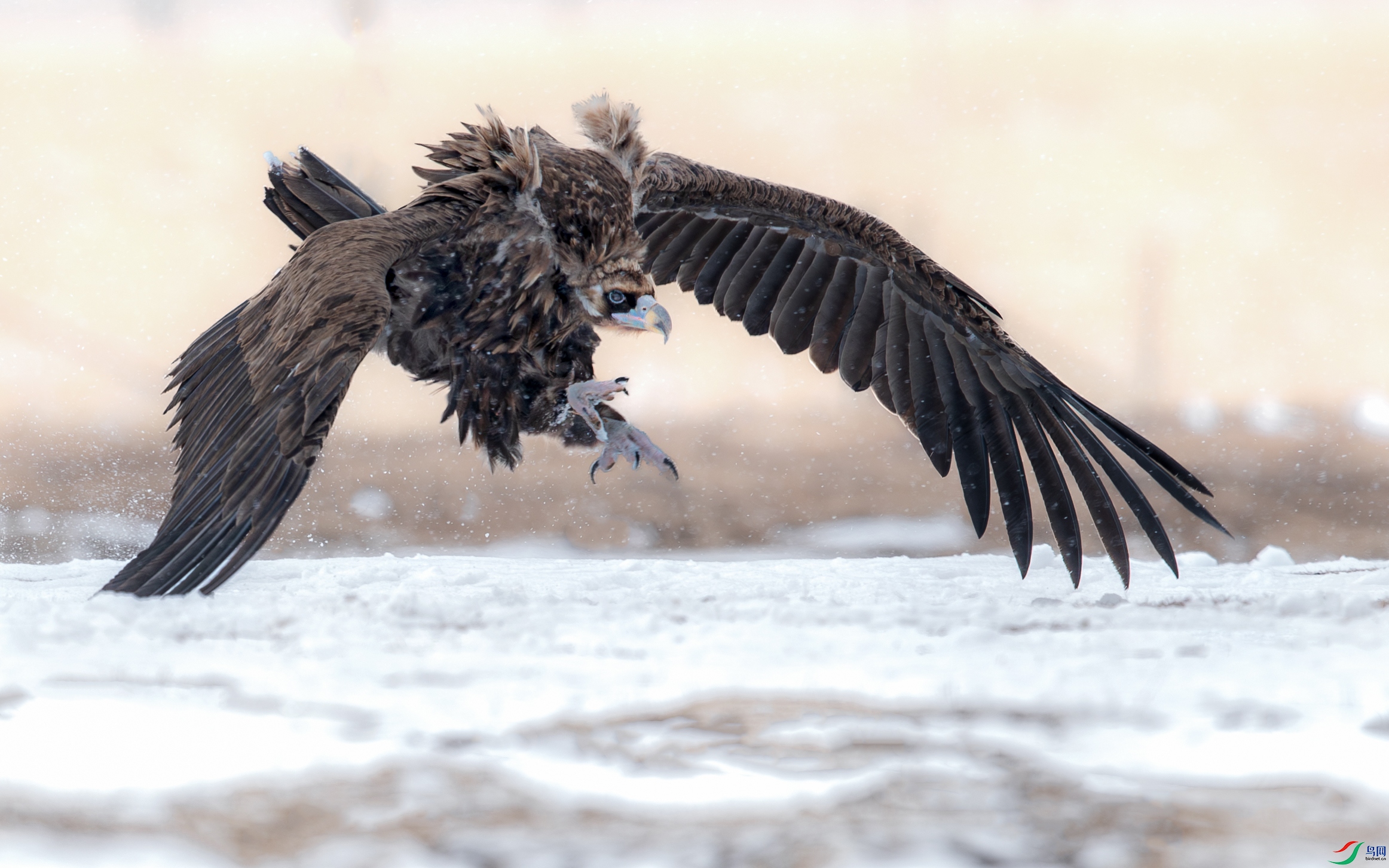 _Y8I6225 ����.jpg