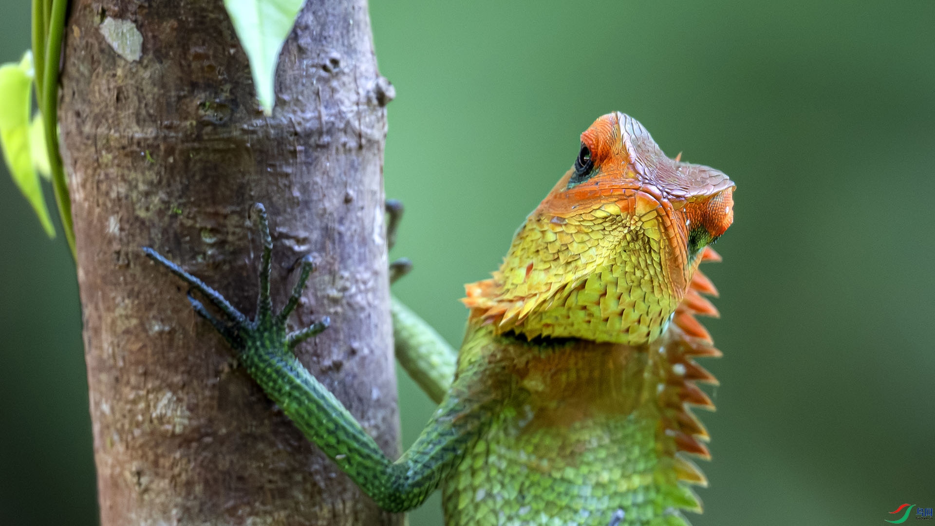 DSC_2386 ����.jpg