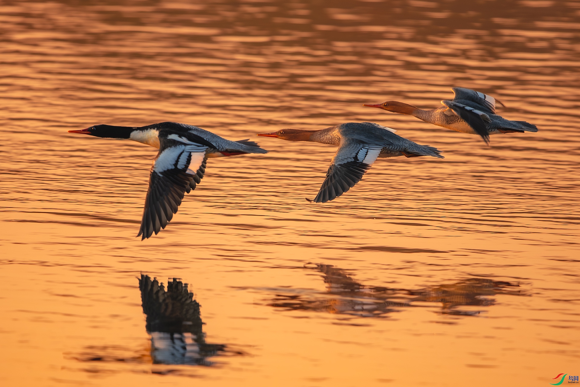 _U3I2751 ����.jpg