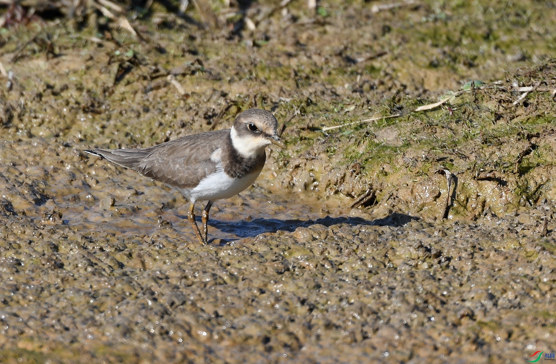 DSC_1155.jpg