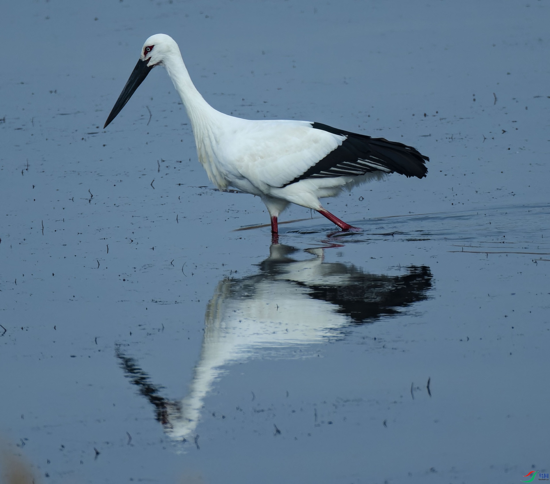 2025.12.10��������4_1-topaz-standard v2-1x.JPG