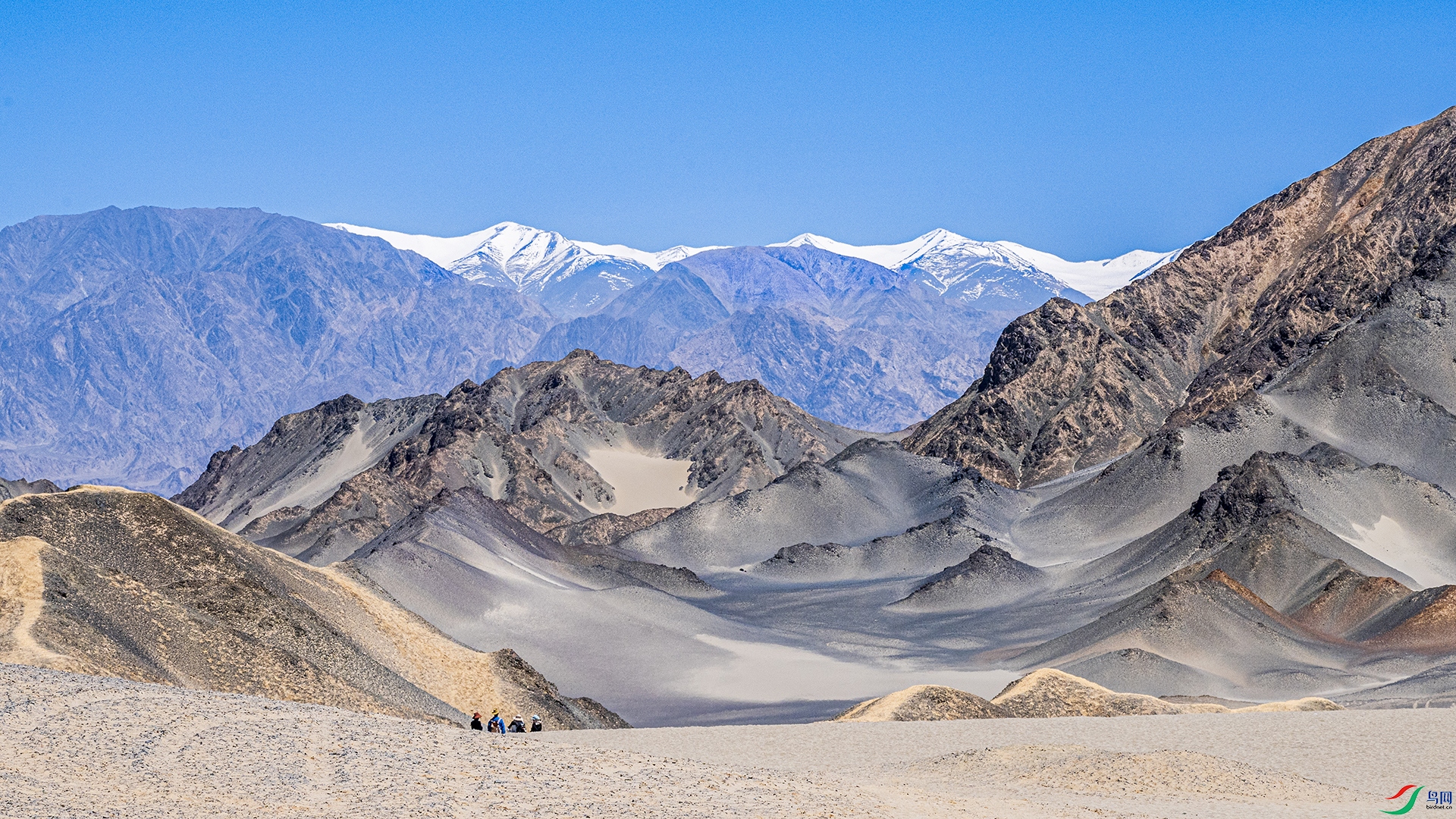 _CYG4770 ����11.jpg