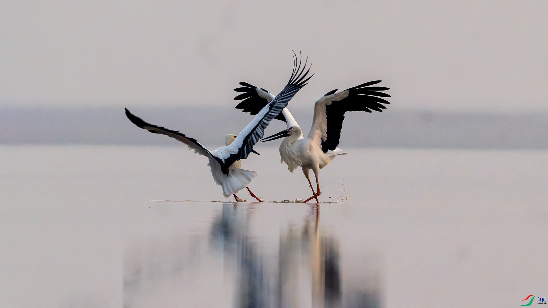 DSC_5546-�ָ���.jpg