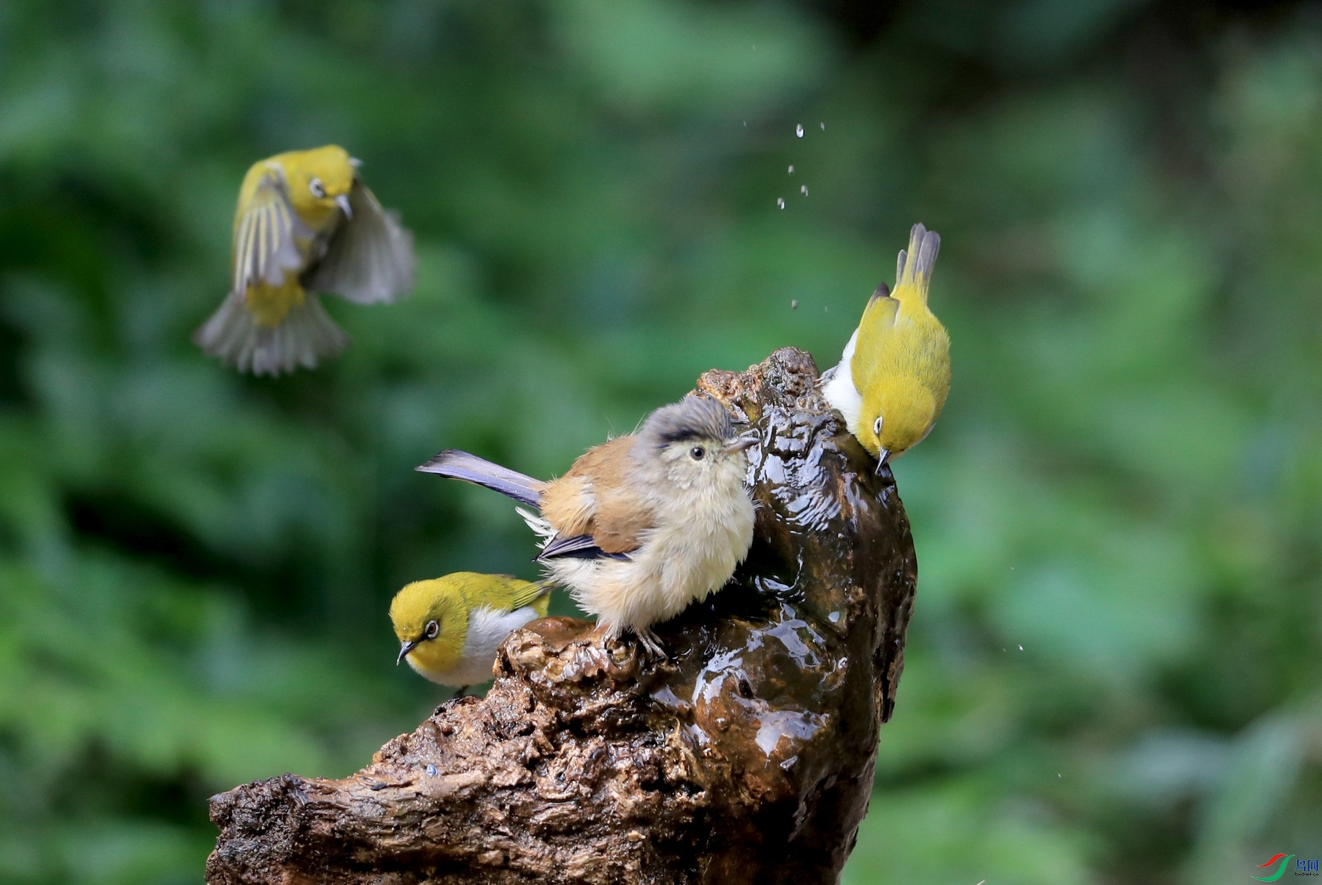 AI0I2273�� ��2.JPG