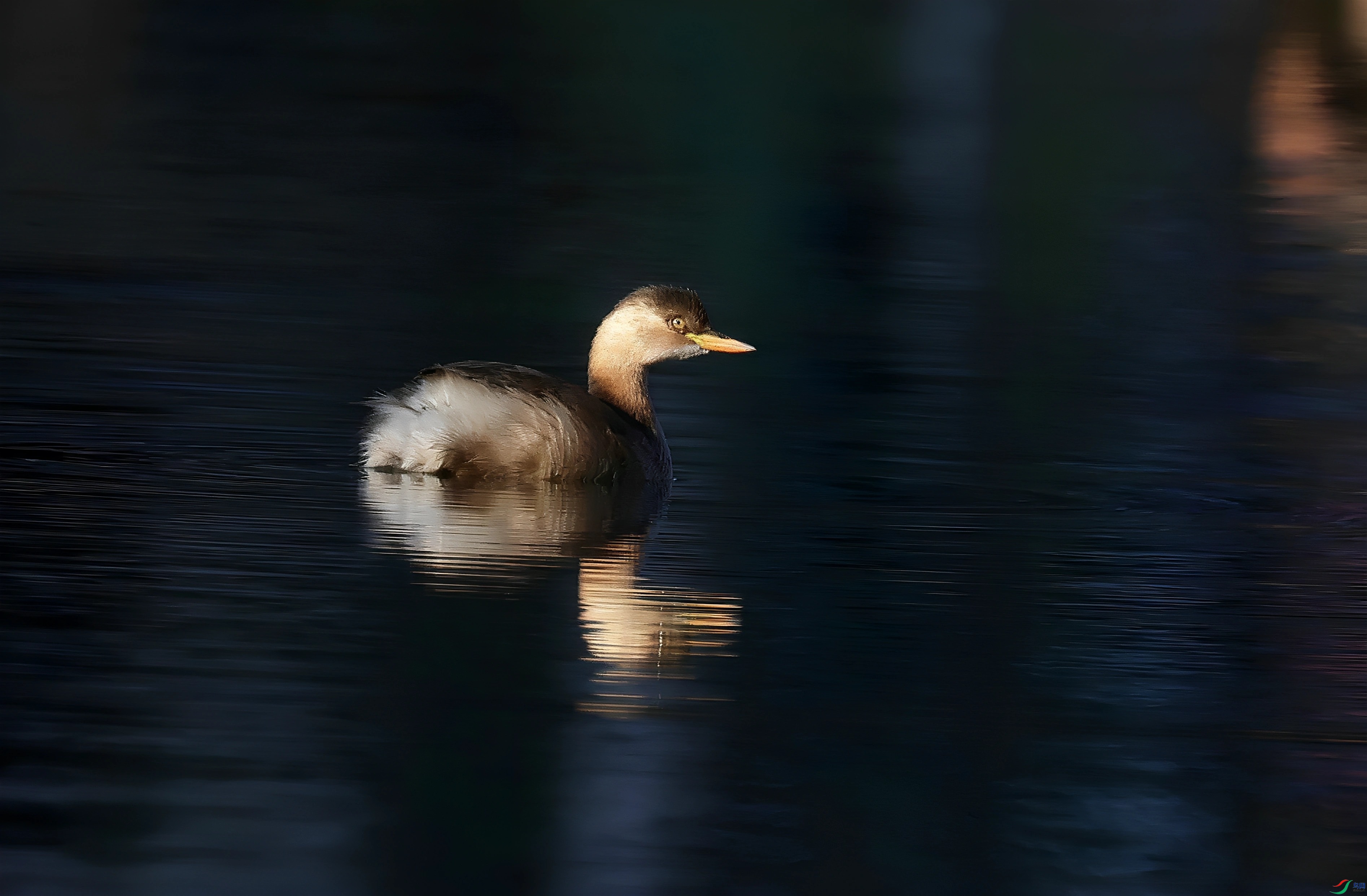 ��ˮ����