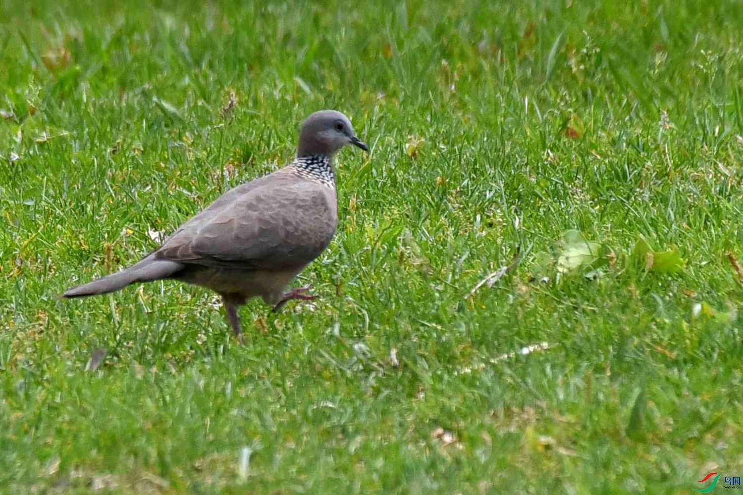 DSC_6898.JPG