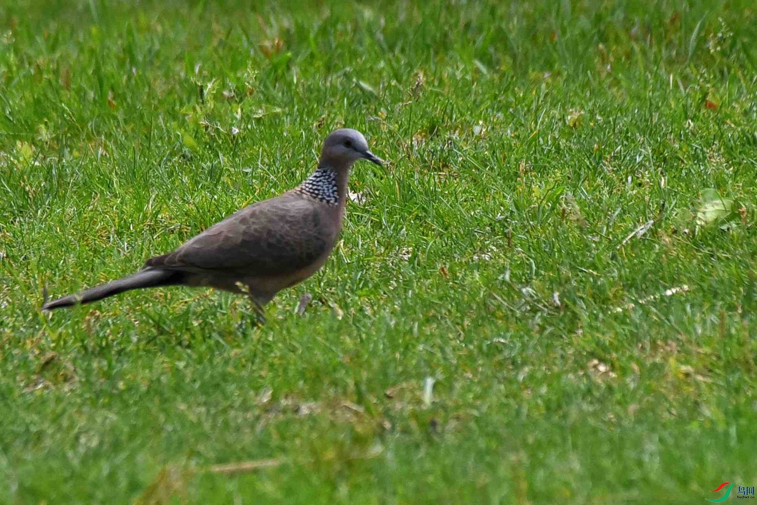 DSC_6892.JPG