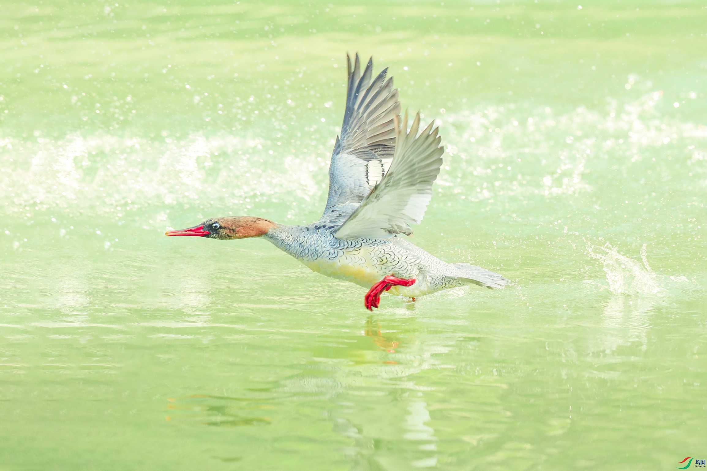 _U4I1764 ���� 2.jpg