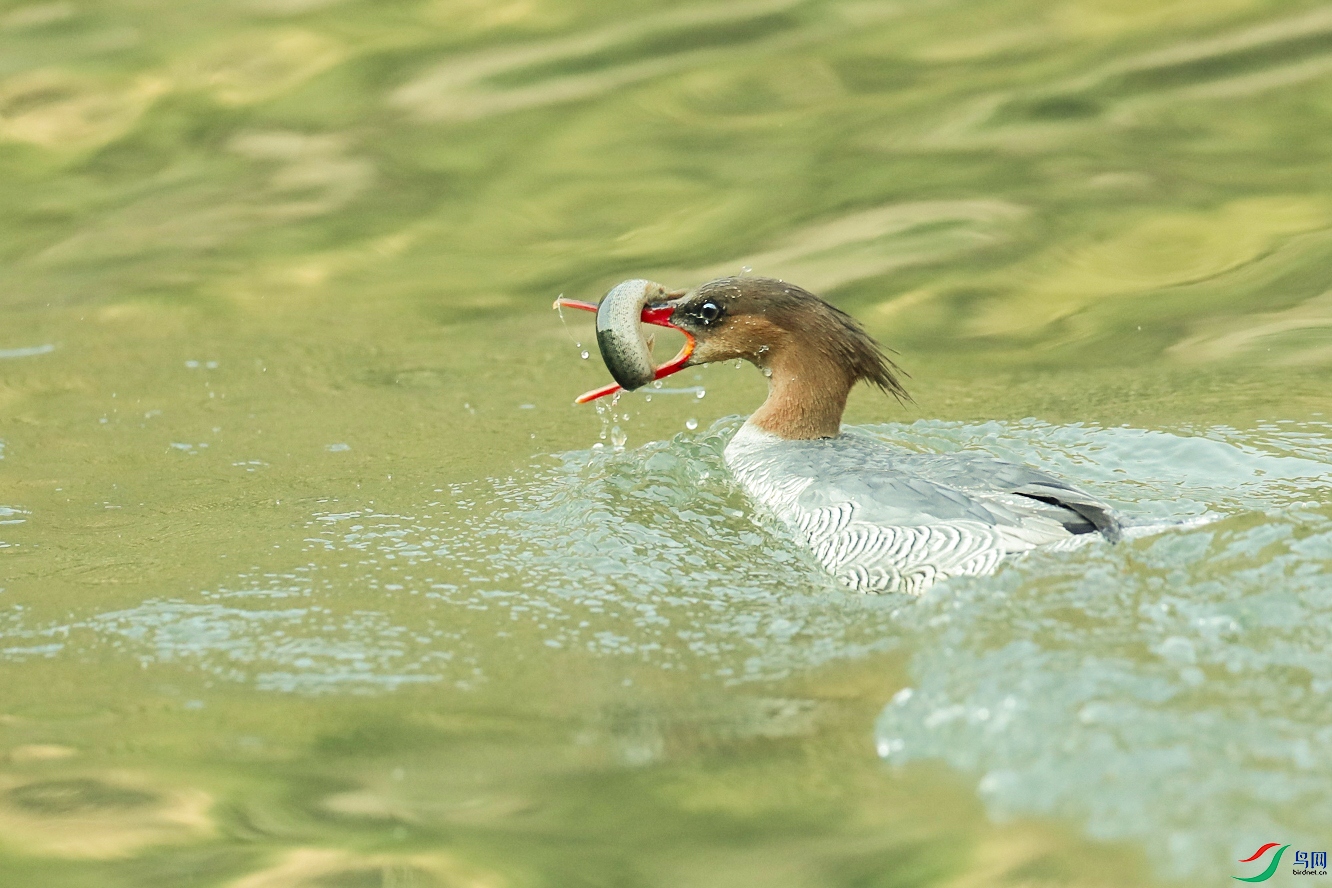 _U4I4843 ���� 2.jpg