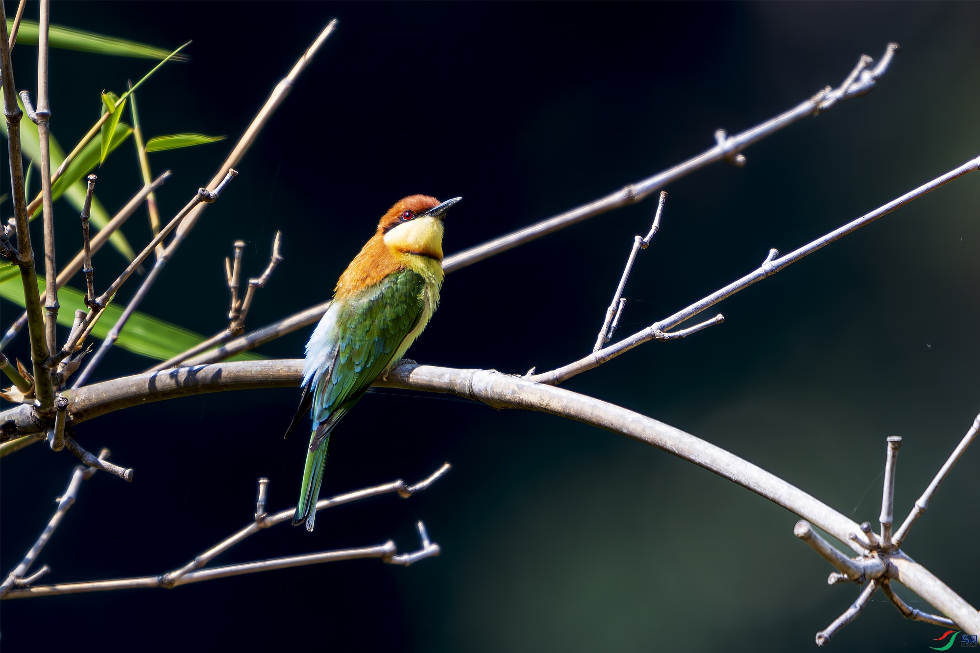 _DSC6426 ���� 2.jpg