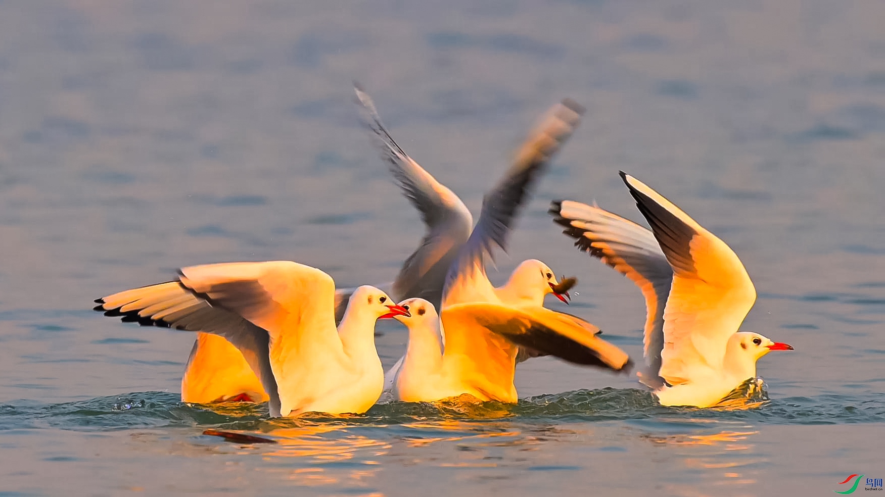 �����ֱ�������-���� ����.jpg