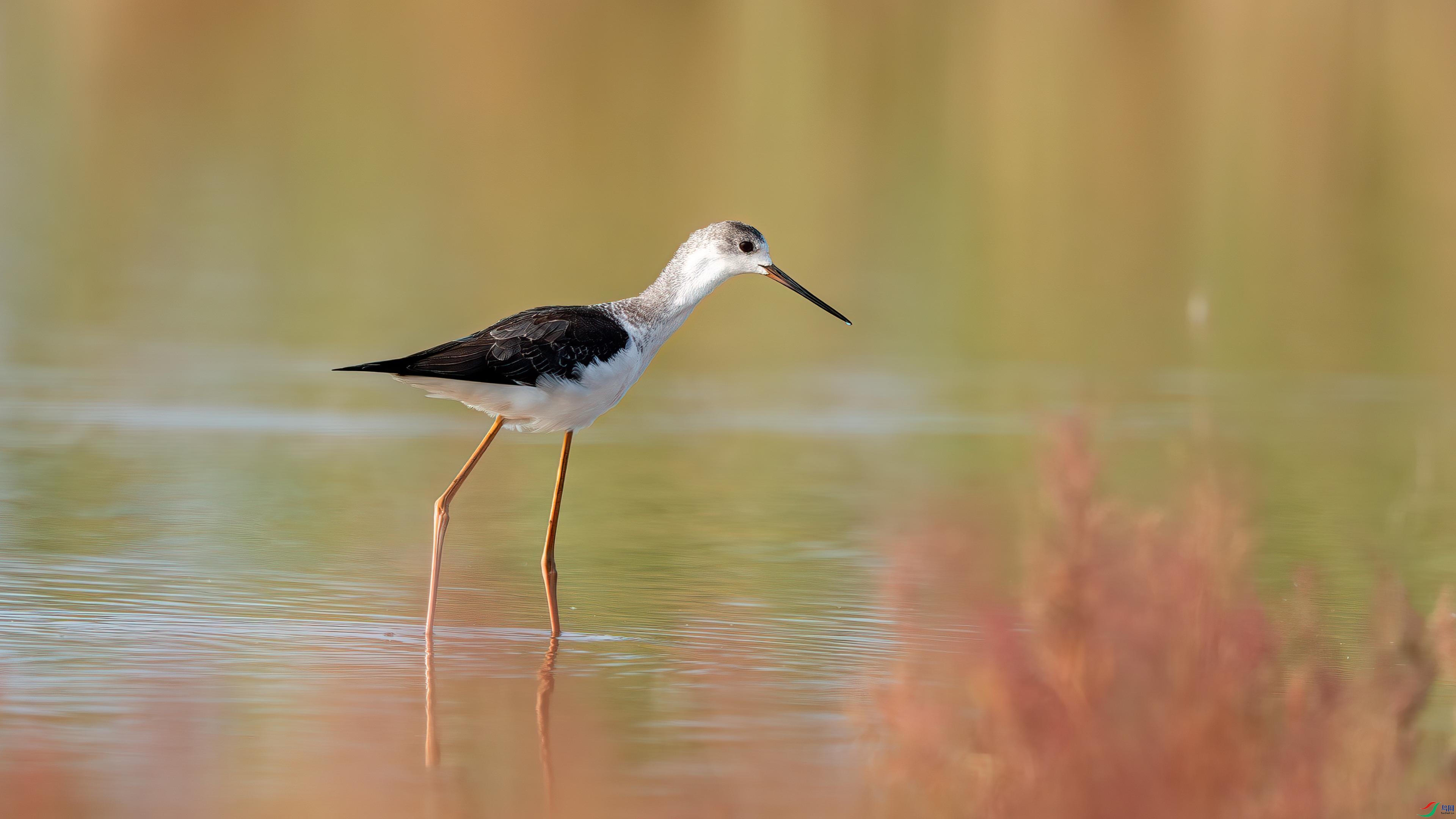 1��13�� (1)-����.jpg