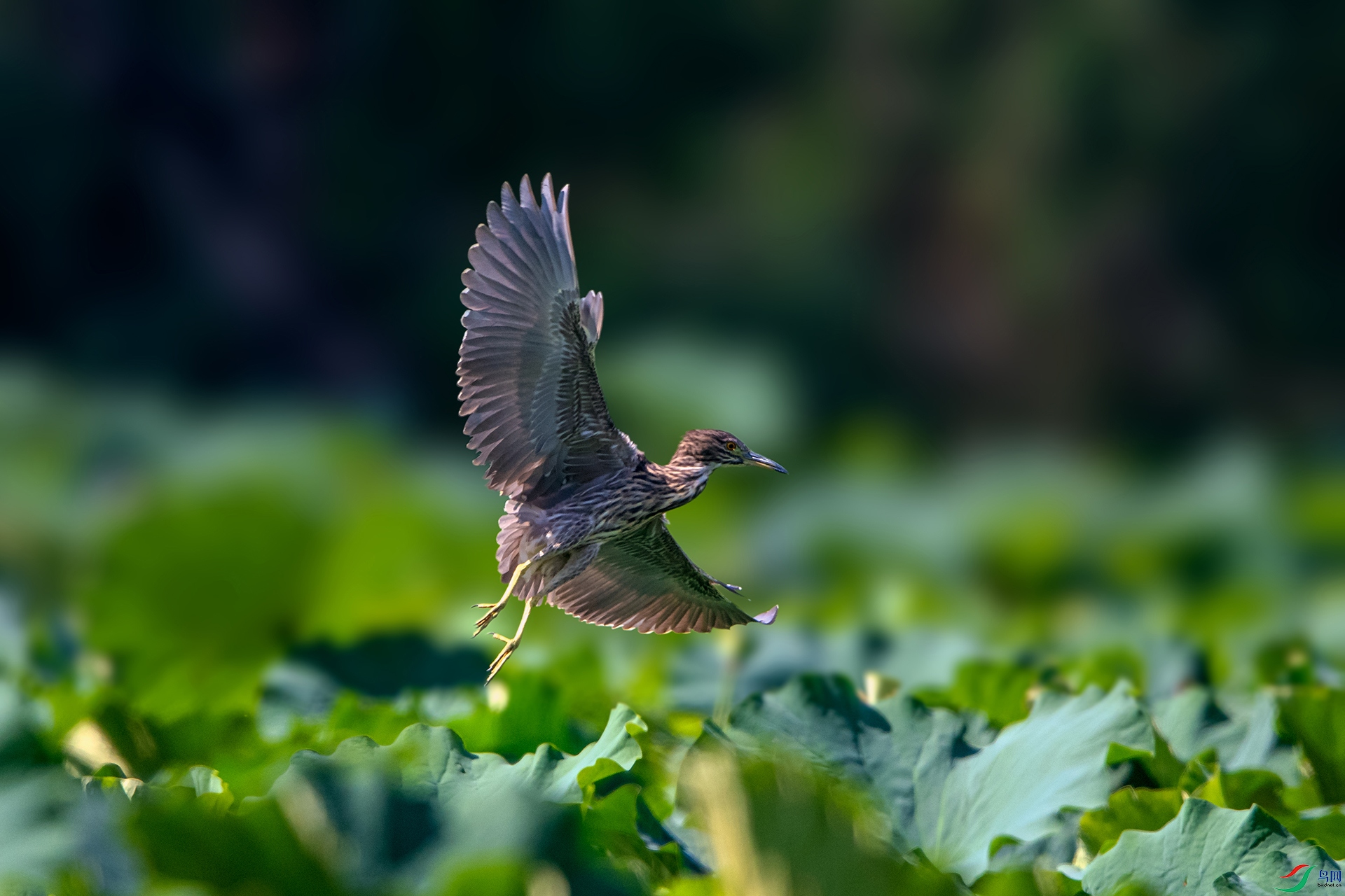 _AUU9747ҹ��(24.8.29).jpg