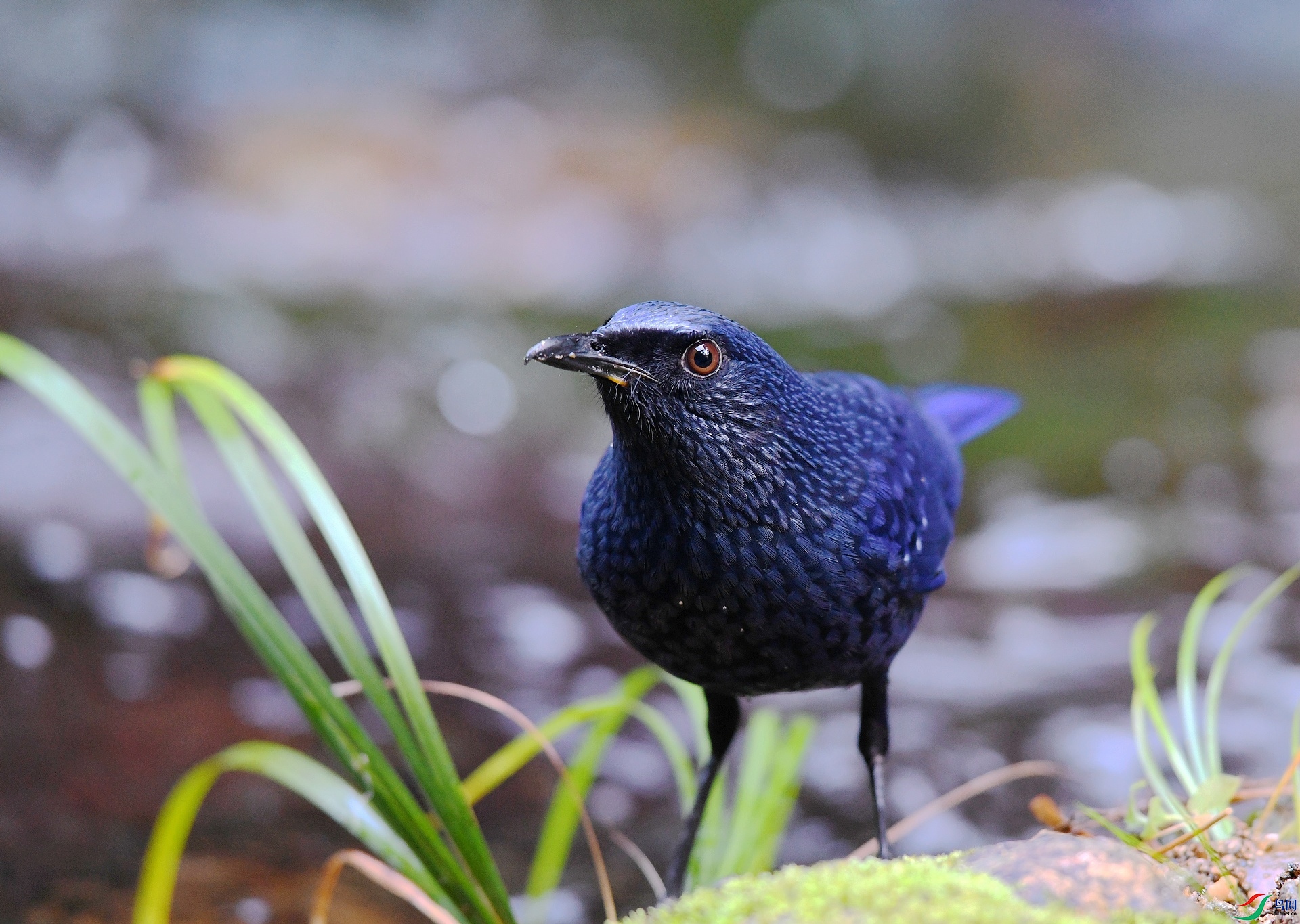 DSC_3171.jpg