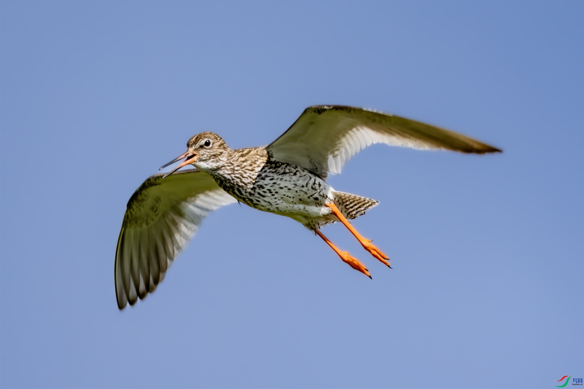 4K2A3676 �����0012.jpg