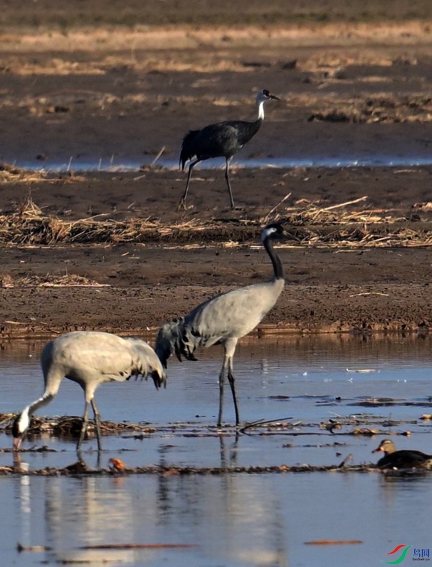 DSC_0659 ����1.jpg