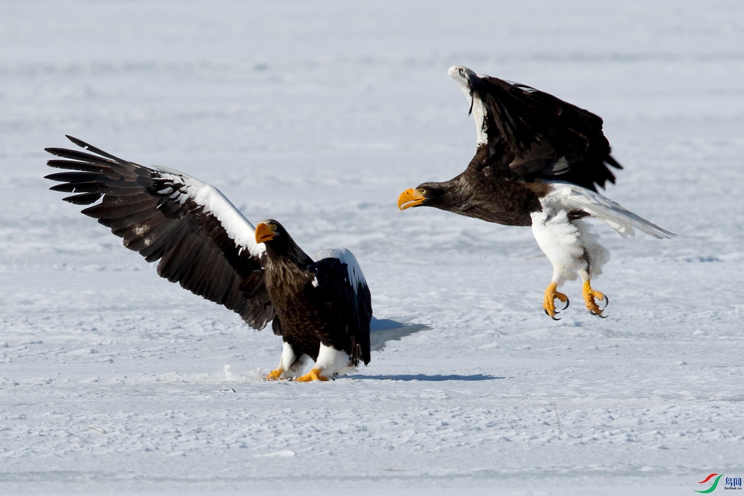 1N5A7211 ����.jpg