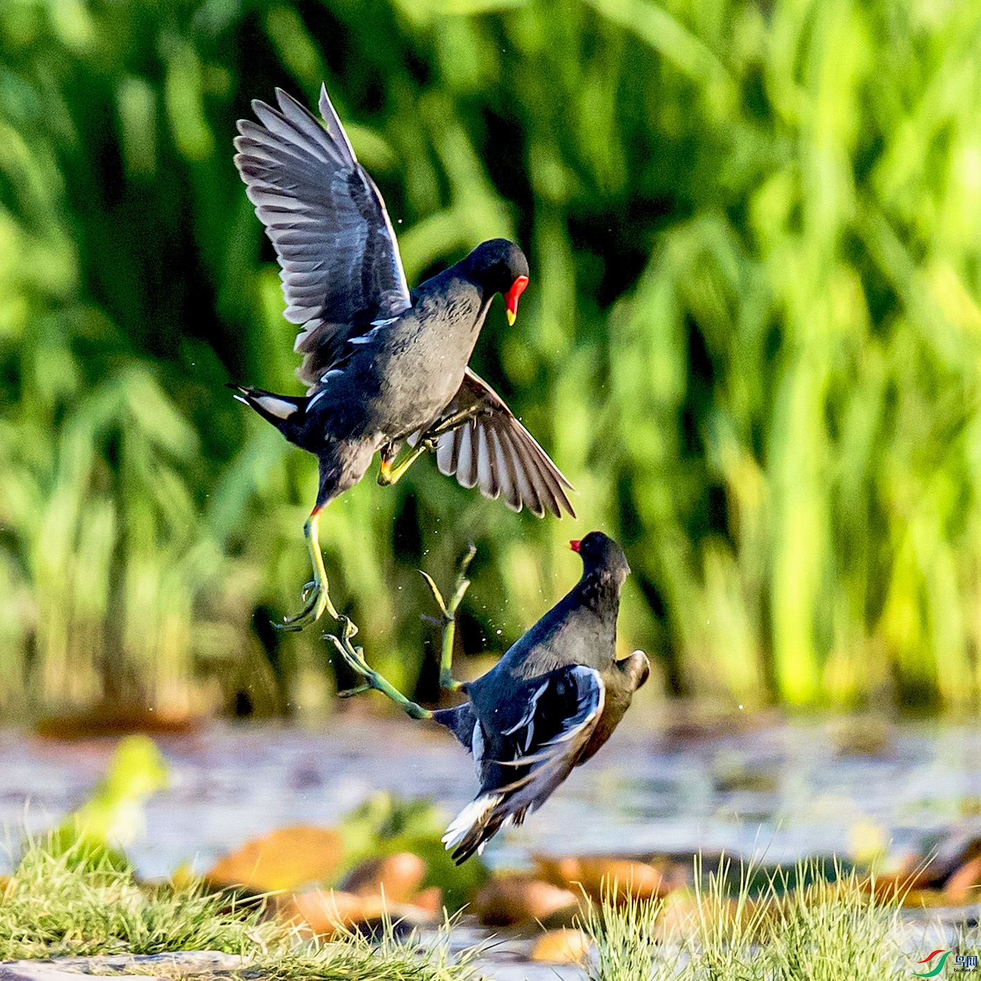 _90I1191 ����.jpg