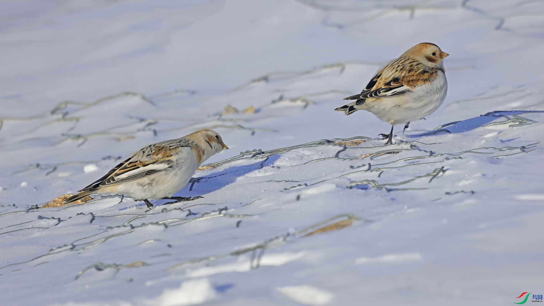 3U2A9191 ���� 2.jpg